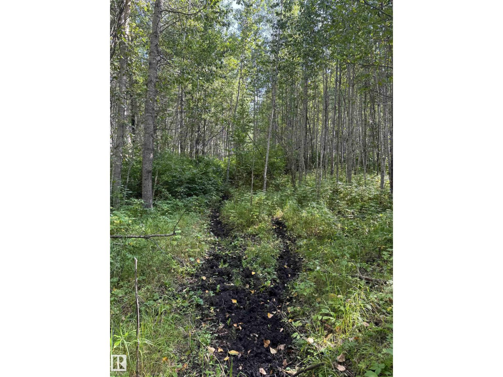 On Twp Rd 505, Rural Brazeau County, Alberta  T7A 1S4 - Photo 18 - E4459876