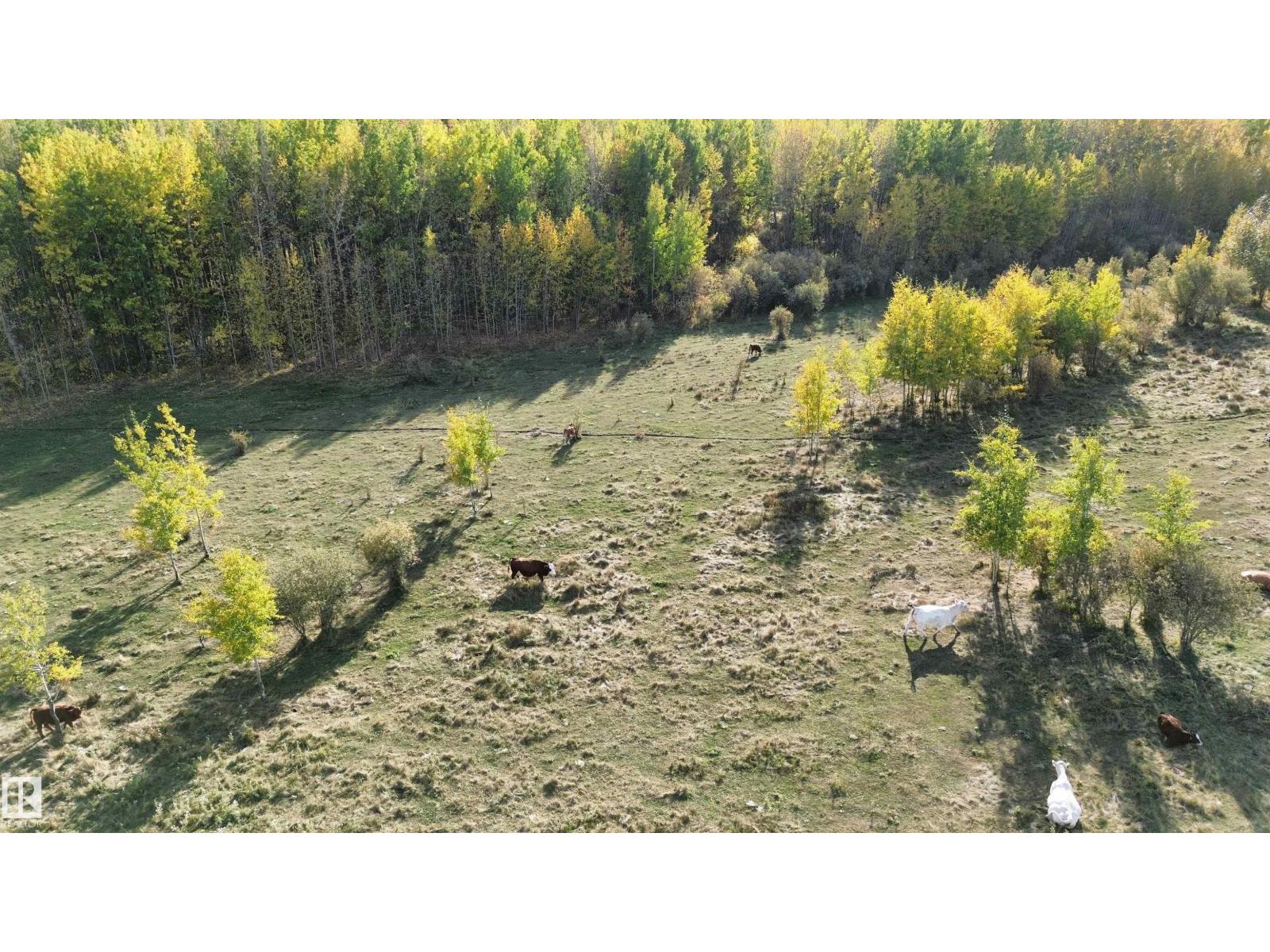 On Twp Rd 505, Rural Brazeau County, Alberta  T7A 1S4 - Photo 11 - E4459876