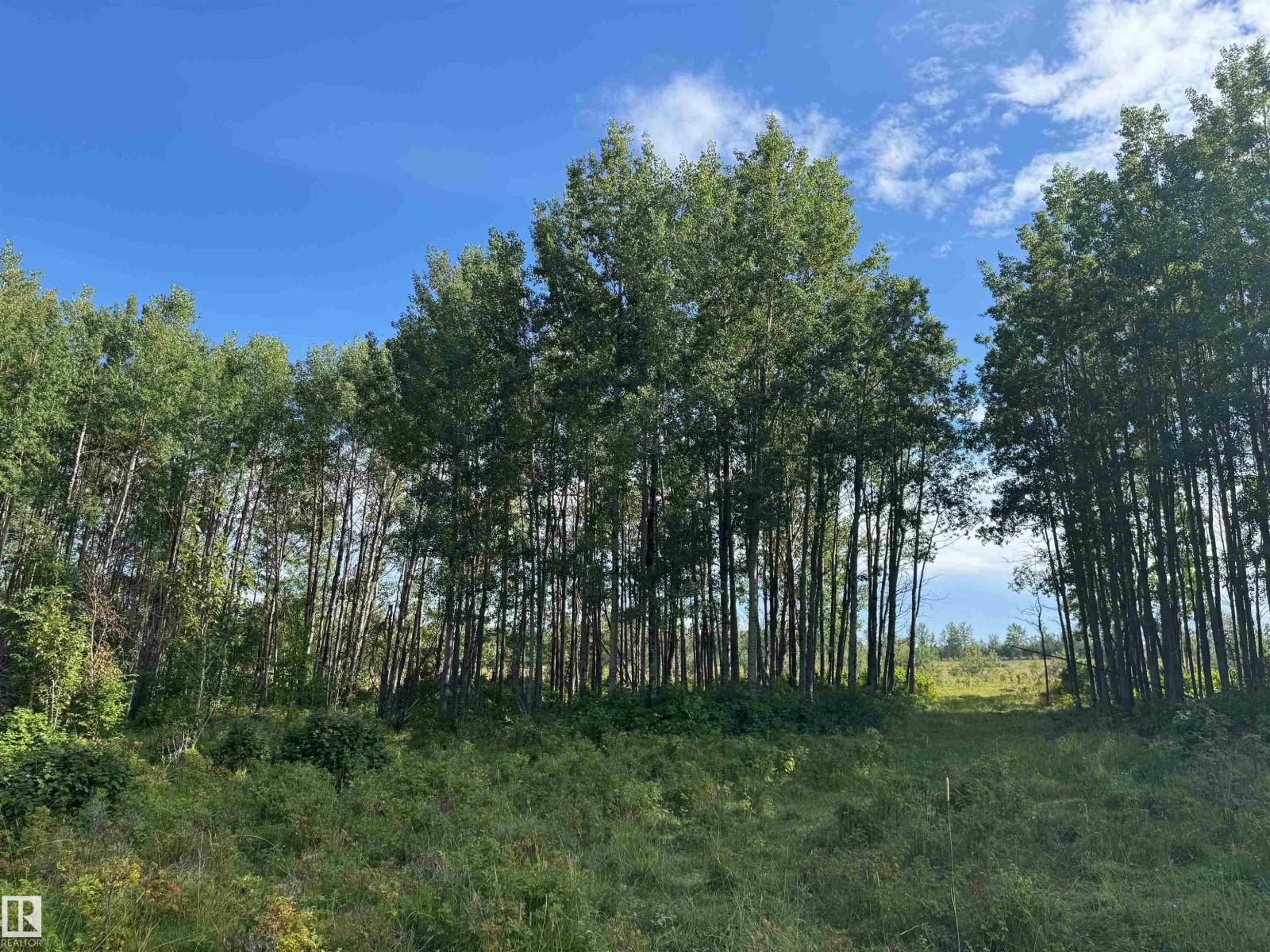 On Twp Rd 505, Rural Brazeau County, Alberta  T7A 1S4 - Photo 26 - E4459876