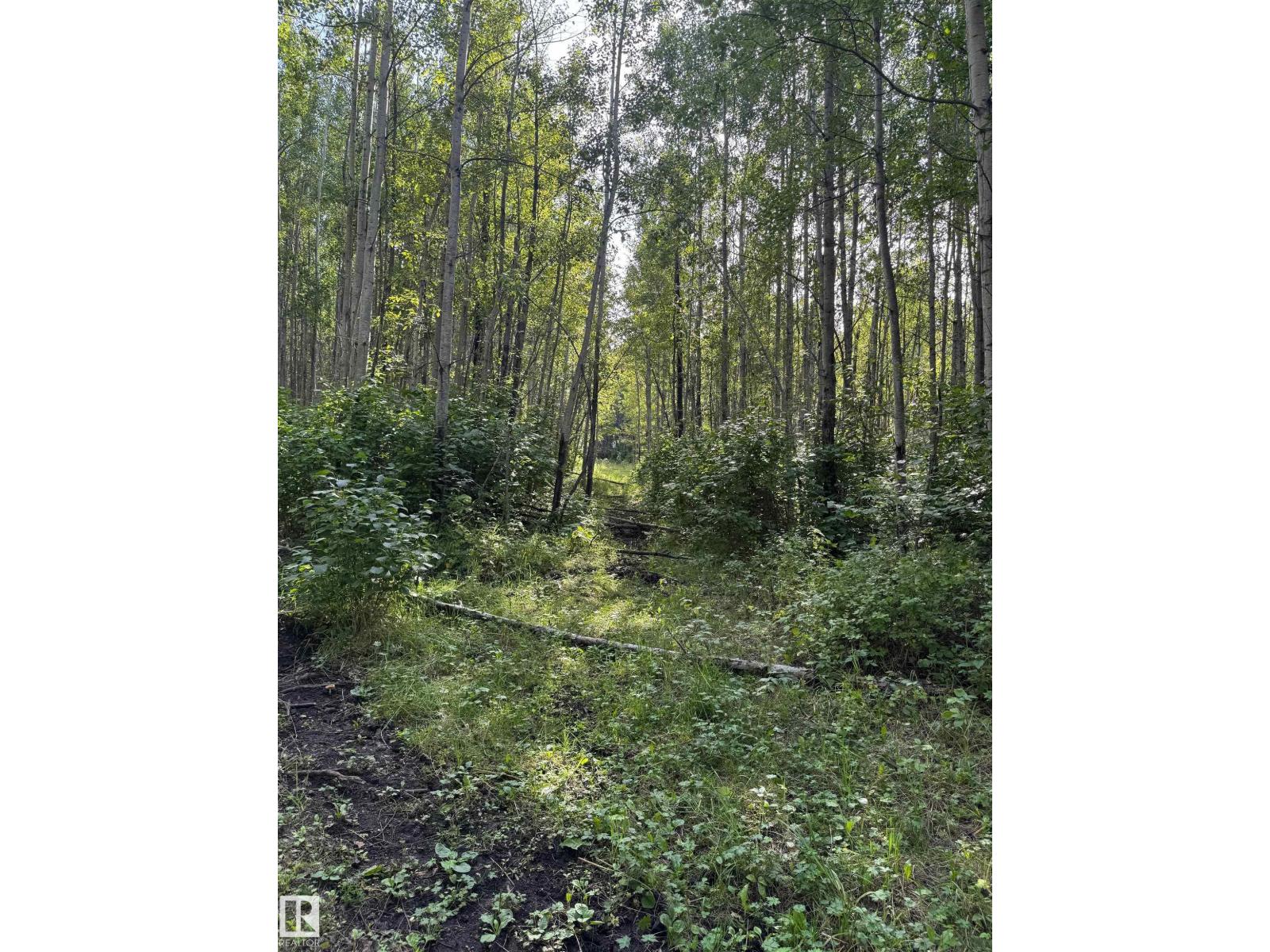 On Twp Rd 505, Rural Brazeau County, Alberta  T7A 1S4 - Photo 21 - E4459876