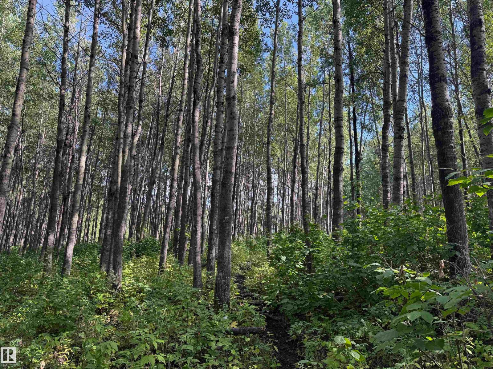 On Twp Rd 505, Rural Brazeau County, Alberta  T7A 1S4 - Photo 23 - E4459876