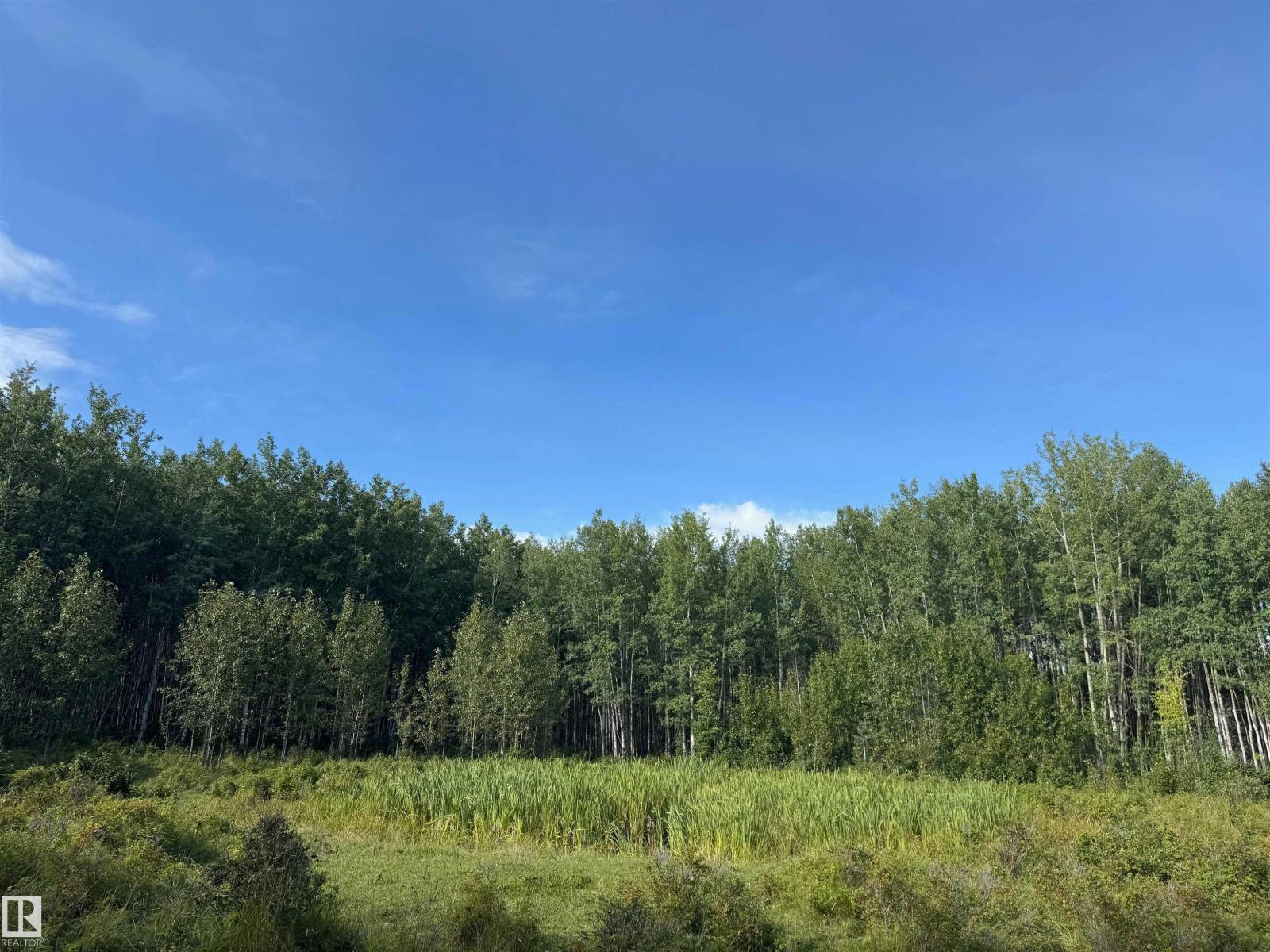 On Twp Rd 505, Rural Brazeau County, Alberta  T7A 1S4 - Photo 27 - E4459876