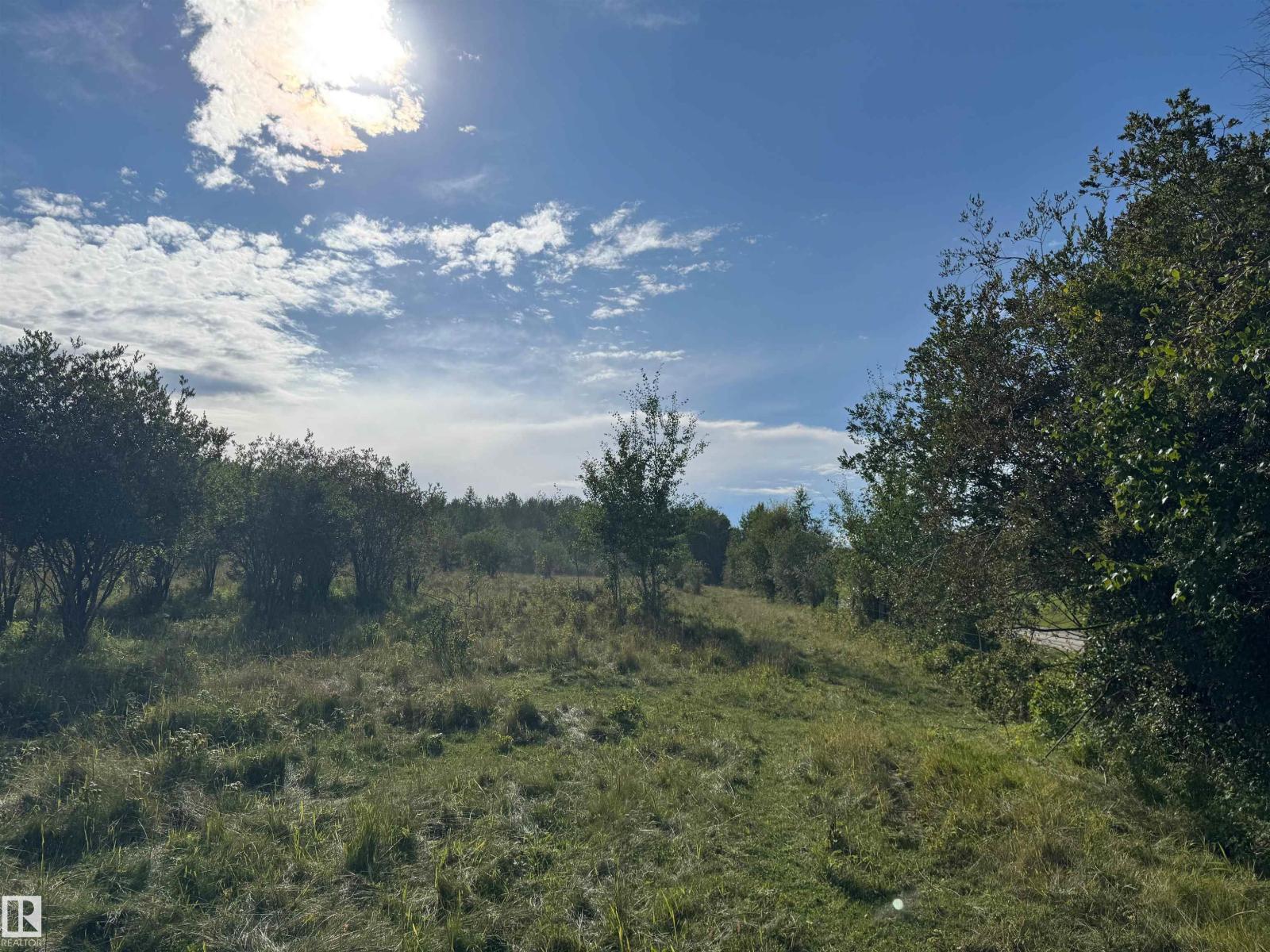 On Twp Rd 505, Rural Brazeau County, Alberta  T7A 1S4 - Photo 51 - E4459875