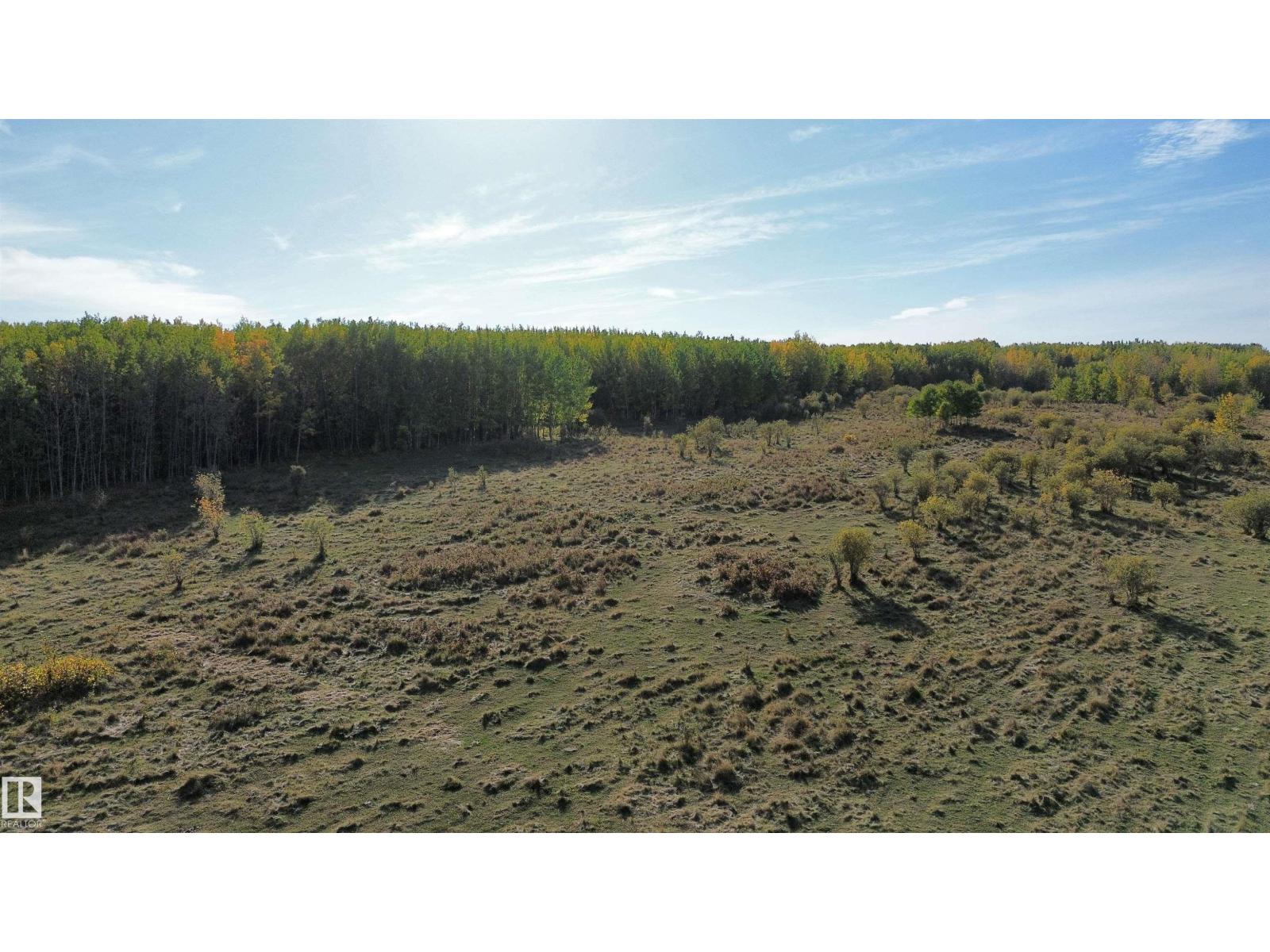 On Twp Rd 505, Rural Brazeau County, Alberta  T7A 1S4 - Photo 24 - E4459875