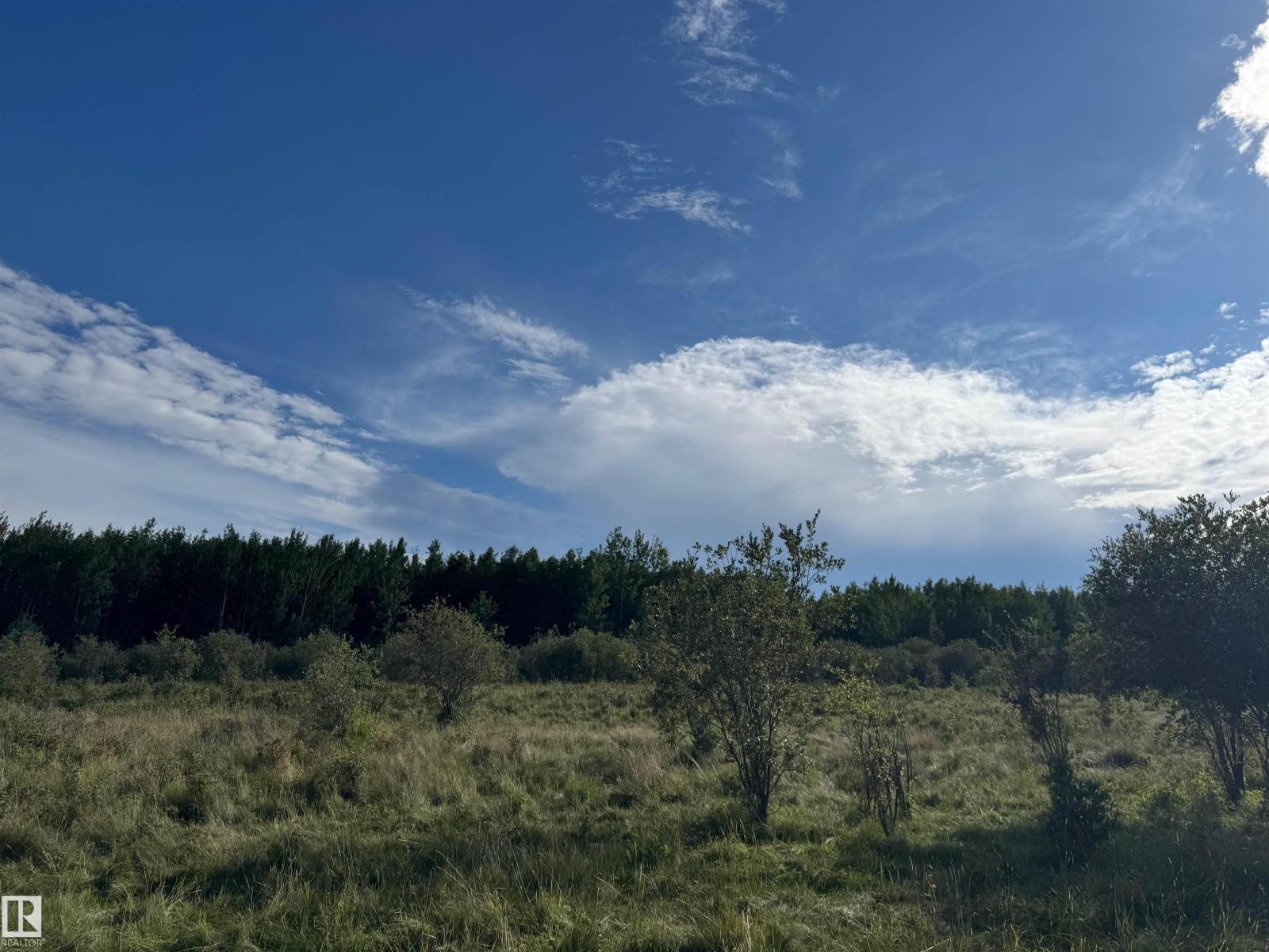 On Twp Rd 505, Rural Brazeau County, Alberta  T7A 1S4 - Photo 52 - E4459875