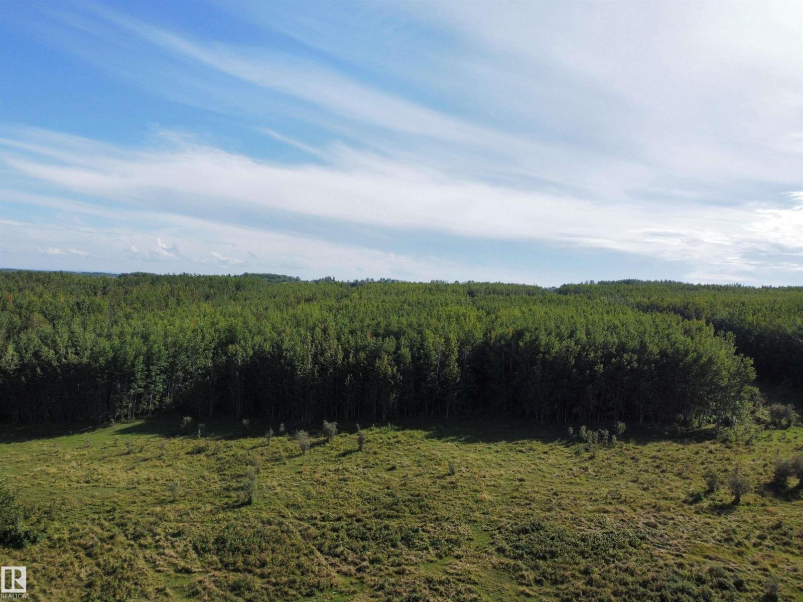 On Twp Rd 505, Rural Brazeau County, Alberta  T7A 1S4 - Photo 18 - E4459875