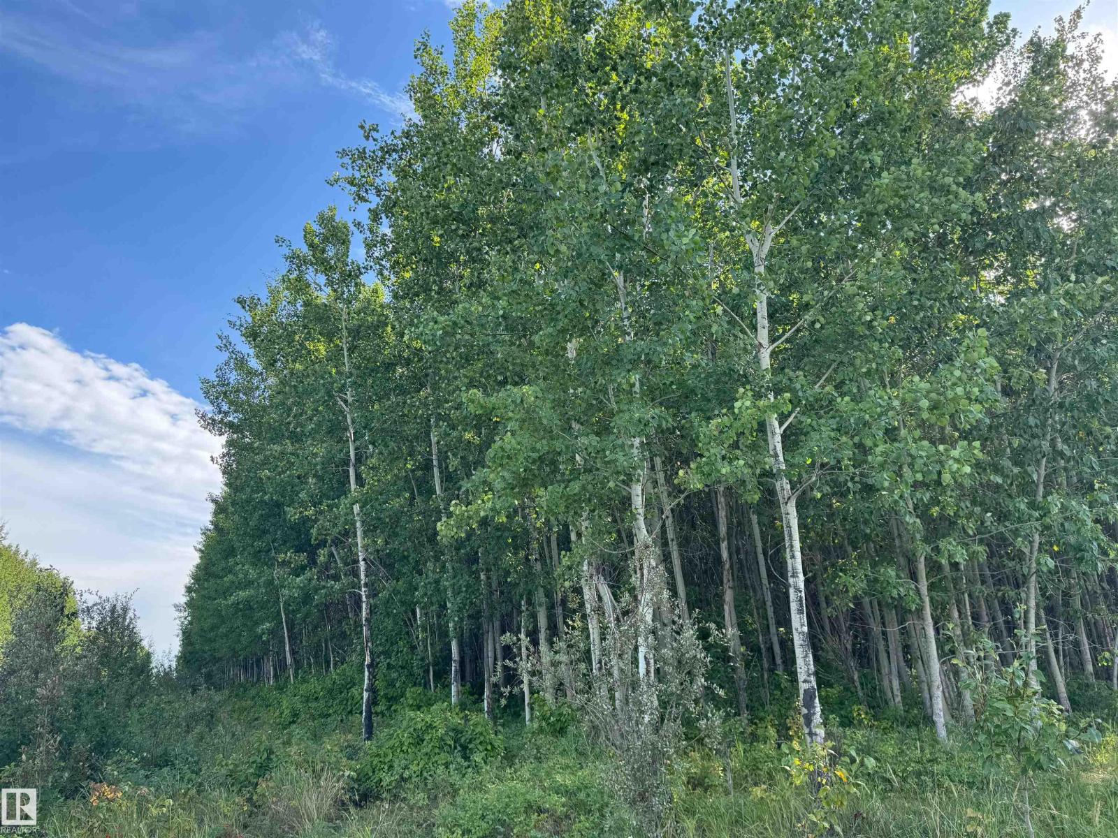 On Twp Rd 505, Rural Brazeau County, Alberta  T7A 1S4 - Photo 46 - E4459875