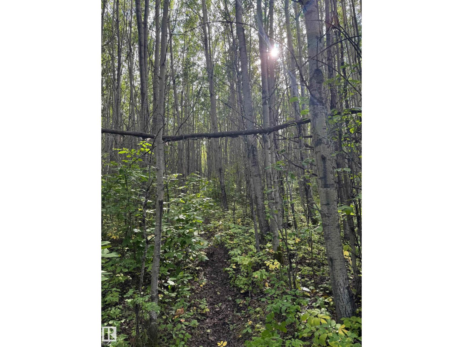 On Twp Rd 505, Rural Brazeau County, Alberta  T7A 1S4 - Photo 26 - E4459875