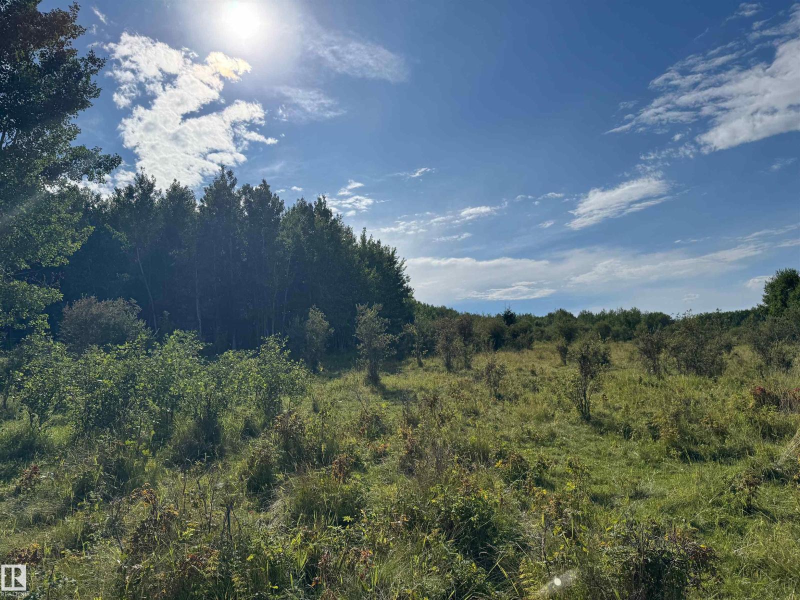 On Twp Rd 505, Rural Brazeau County, Alberta  T7A 1S4 - Photo 40 - E4459875