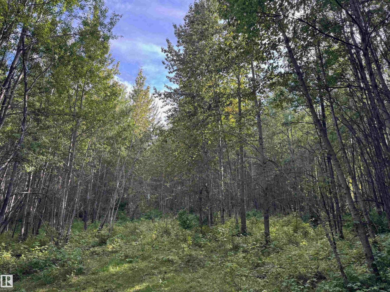 On Twp Rd 505, Rural Brazeau County, Alberta  T7A 1S4 - Photo 34 - E4459875