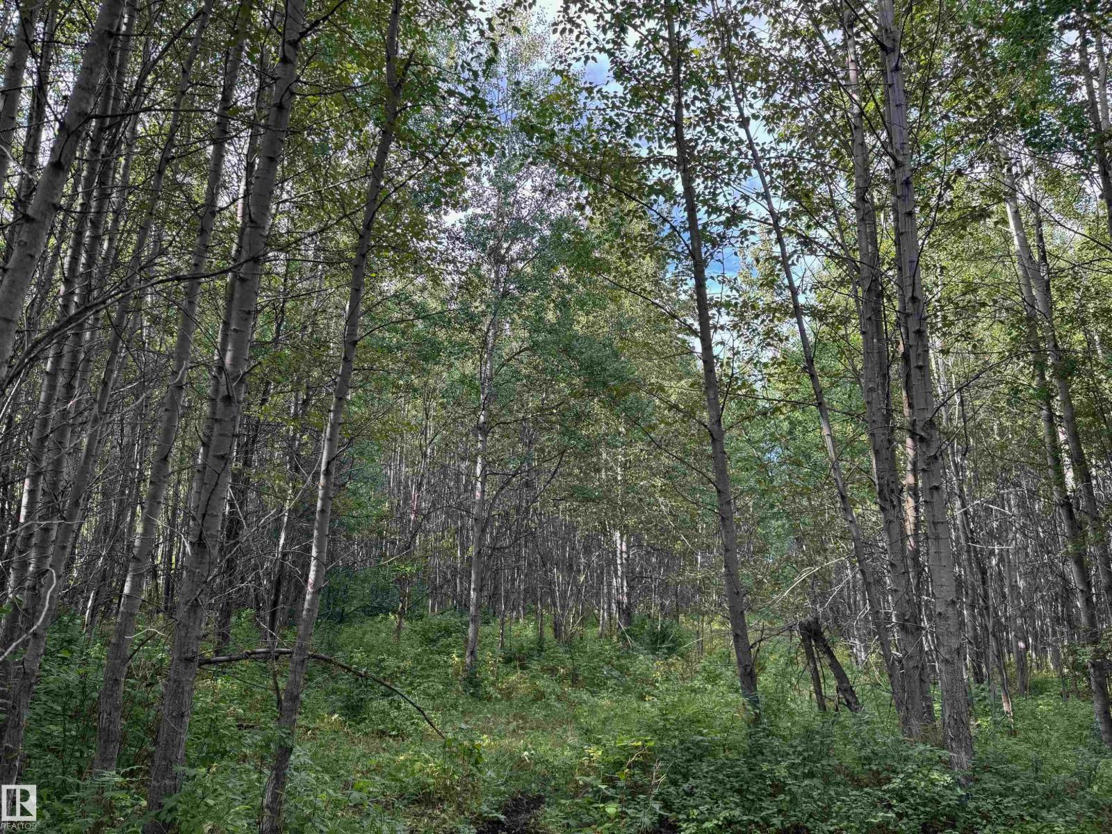 On Twp Rd 505, Rural Brazeau County, Alberta  T7A 1S4 - Photo 32 - E4459875