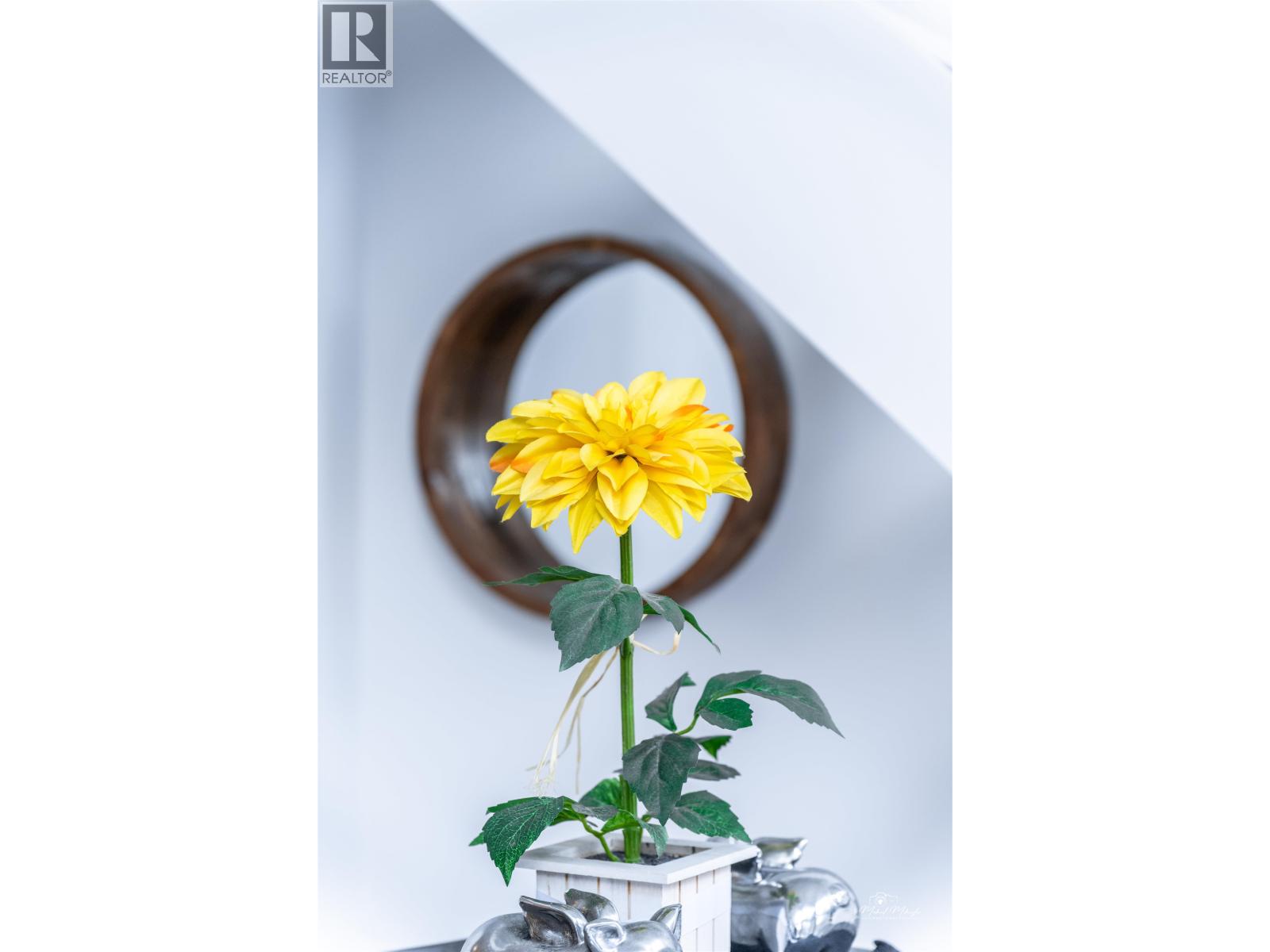 909 933 Seymour Street, Vancouver, British Columbia  V6B 6L6 - Photo 3 - R3063328