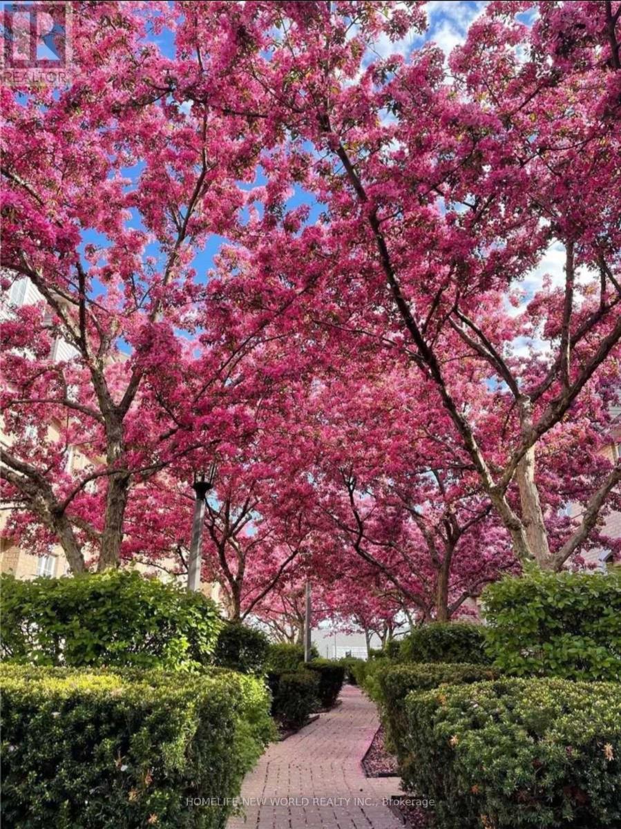 105 - 23 OBSERVATORY LANE, Richmond Hill, Ontario