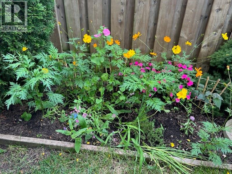 215 Glamis Road Unit# 27, Cambridge, Ontario  N1R 6V8 - Photo 33 - 40782270