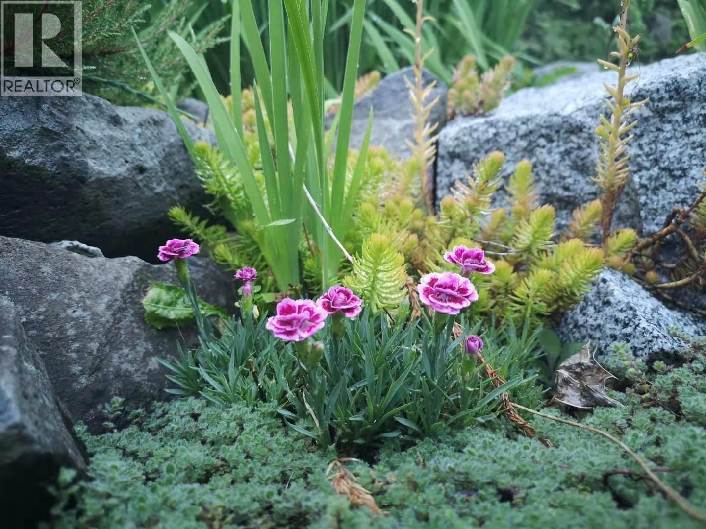 313 Hickey Drive, Coquitlam, British Columbia V3K 5T3 - Photo 33 - R3064258