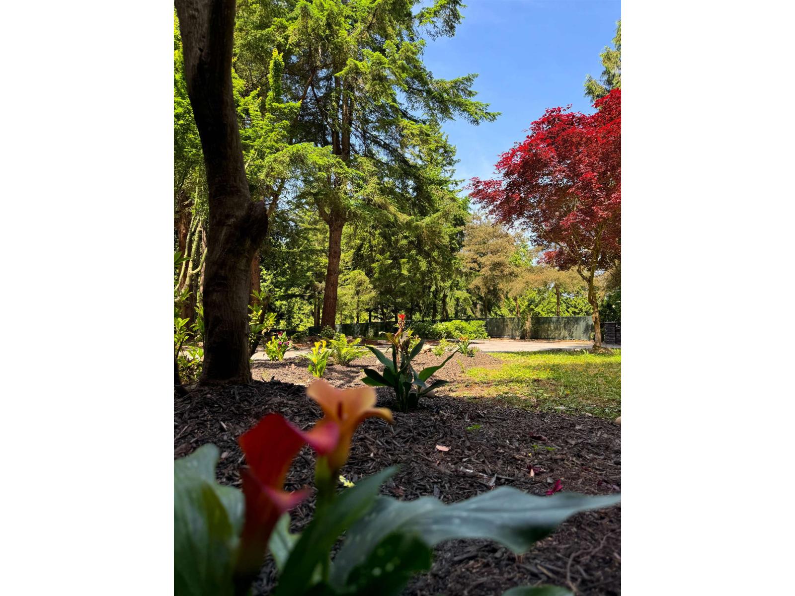 14092 Crescent Road, Surrey, British Columbia  V4P 1L4 - Photo 36 - R3064058