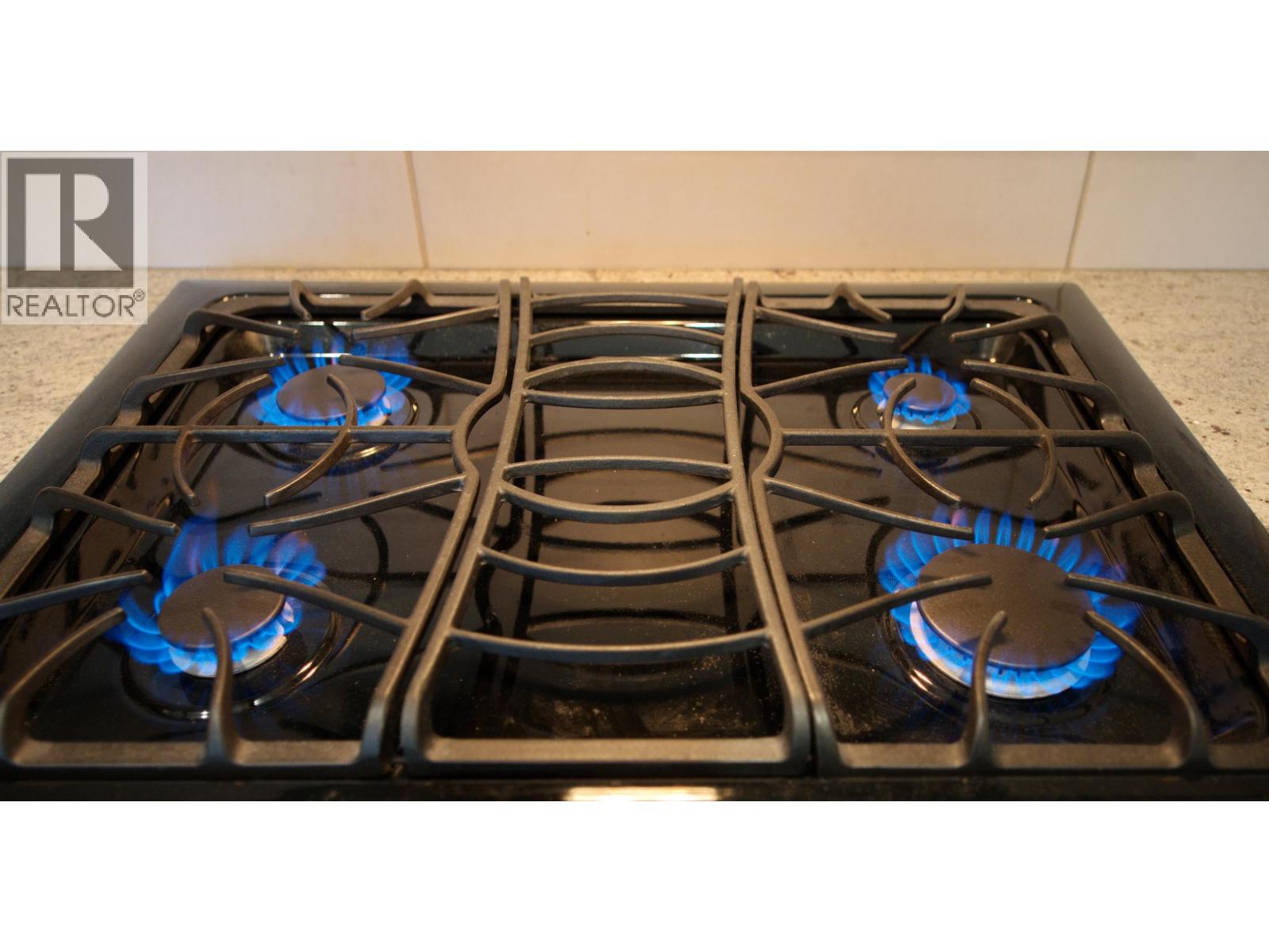 301 7063 Hall Avenue, Burnaby, British Columbia  V5E 0A5 - Photo 16 - R3063984