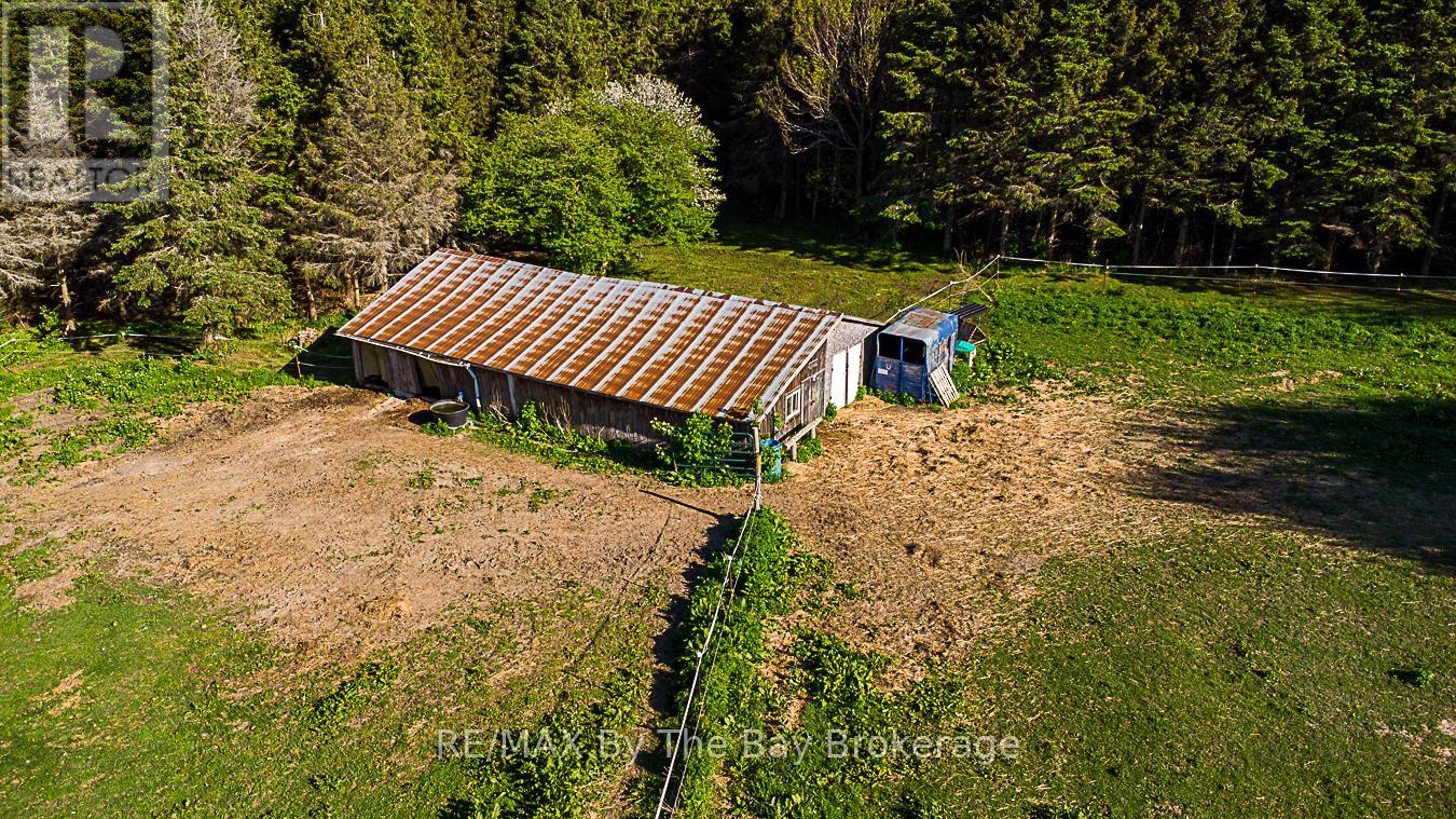 2553 County 42 Road, Clearview, Ontario L0M 1S0 - Photo 34 - S12506144