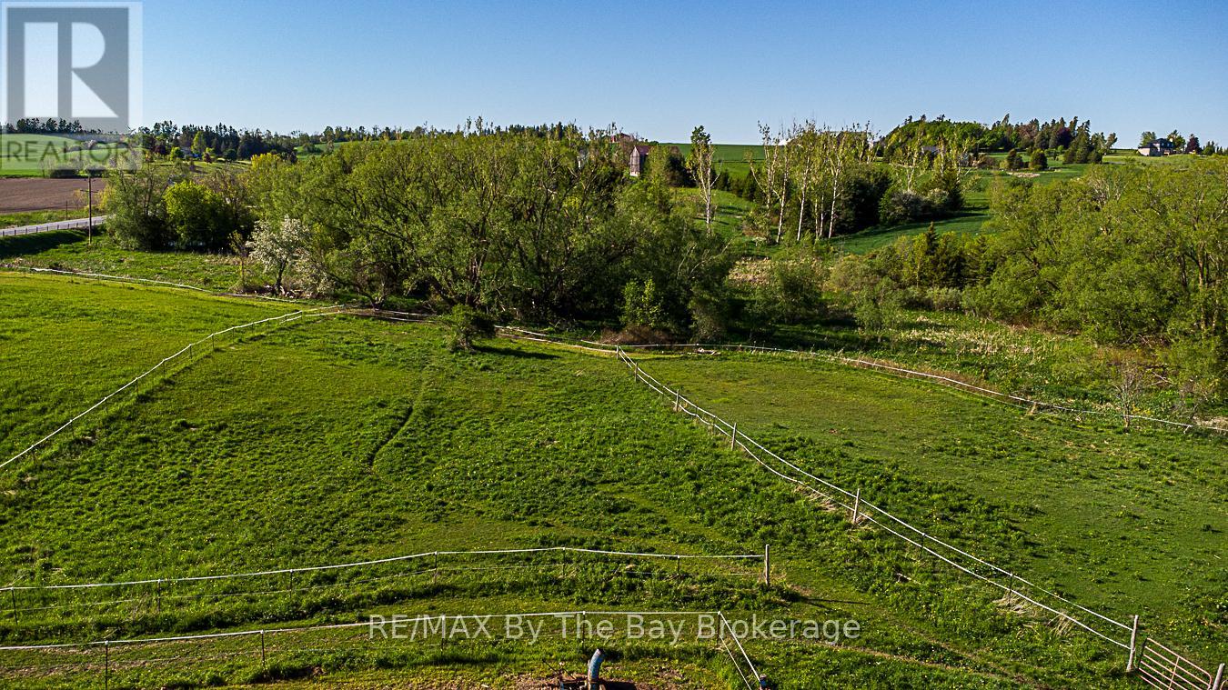 2553 County 42 Road, Clearview, Ontario L0M 1S0 - Photo 36 - S12506144