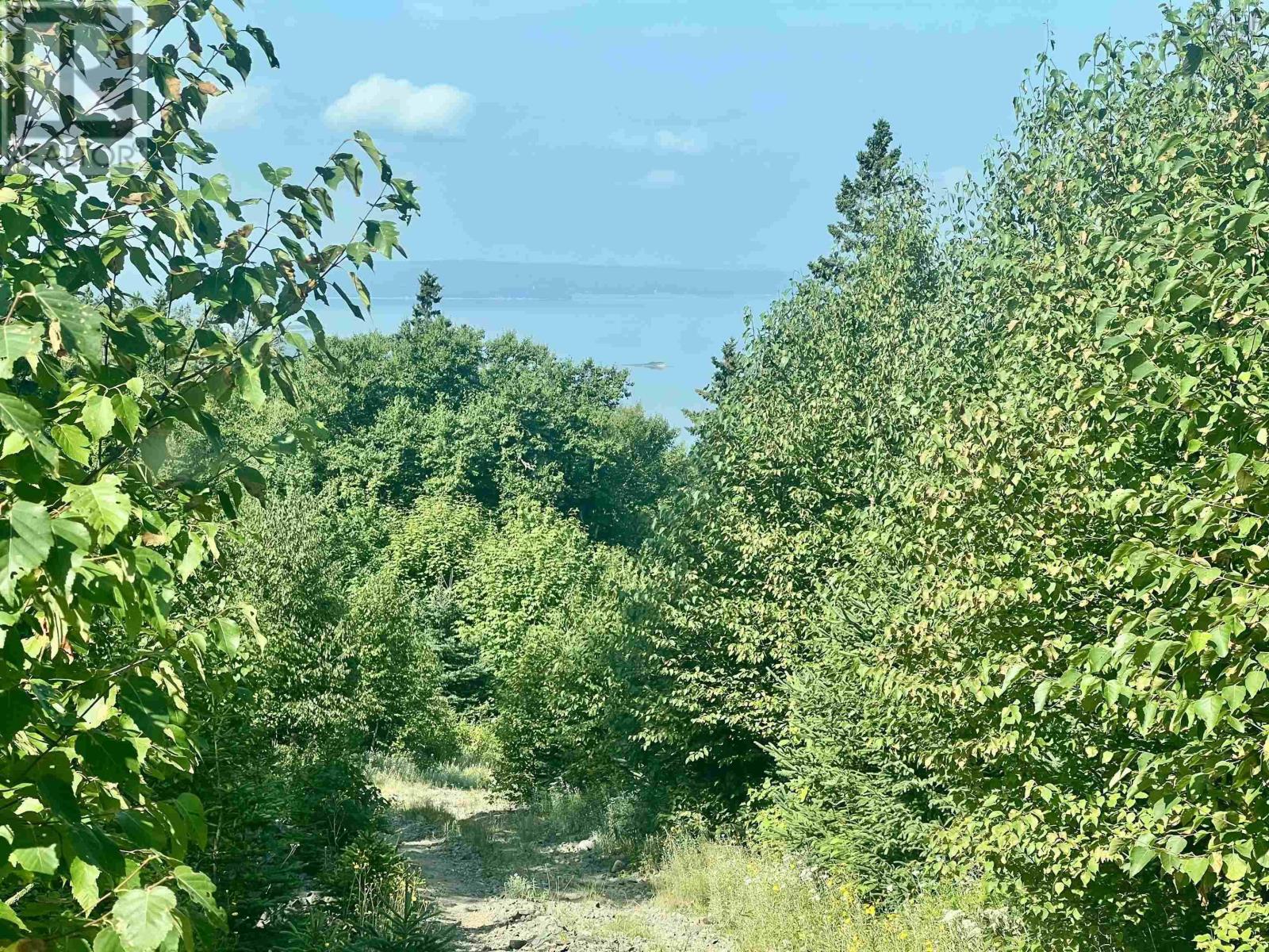 Settlers Bluff, St. Georges Channel, Nova Scotia