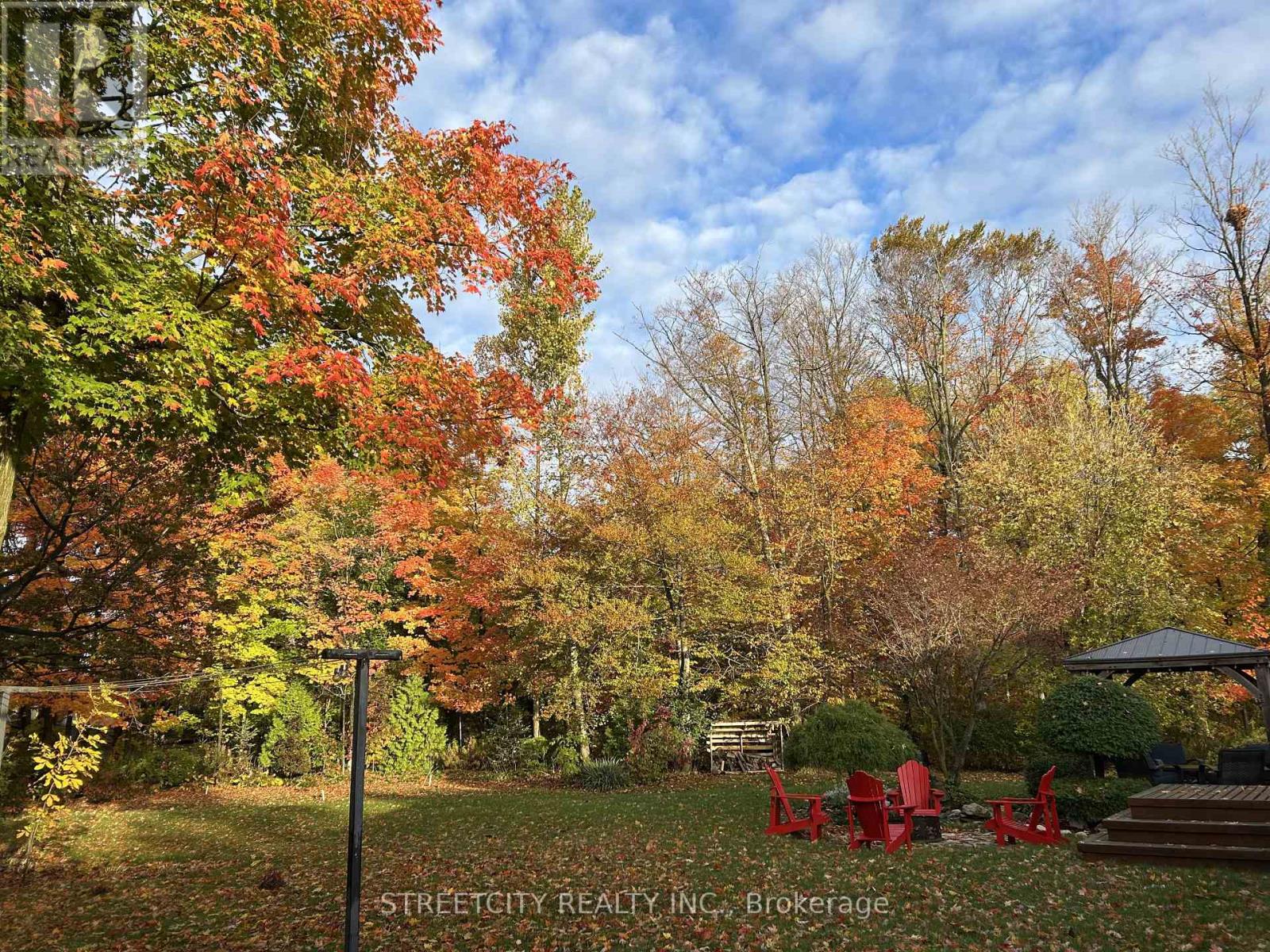 231 Centennial Avenue, St. Thomas, Ontario  N5P 4K6 - Photo 50 - X12506228