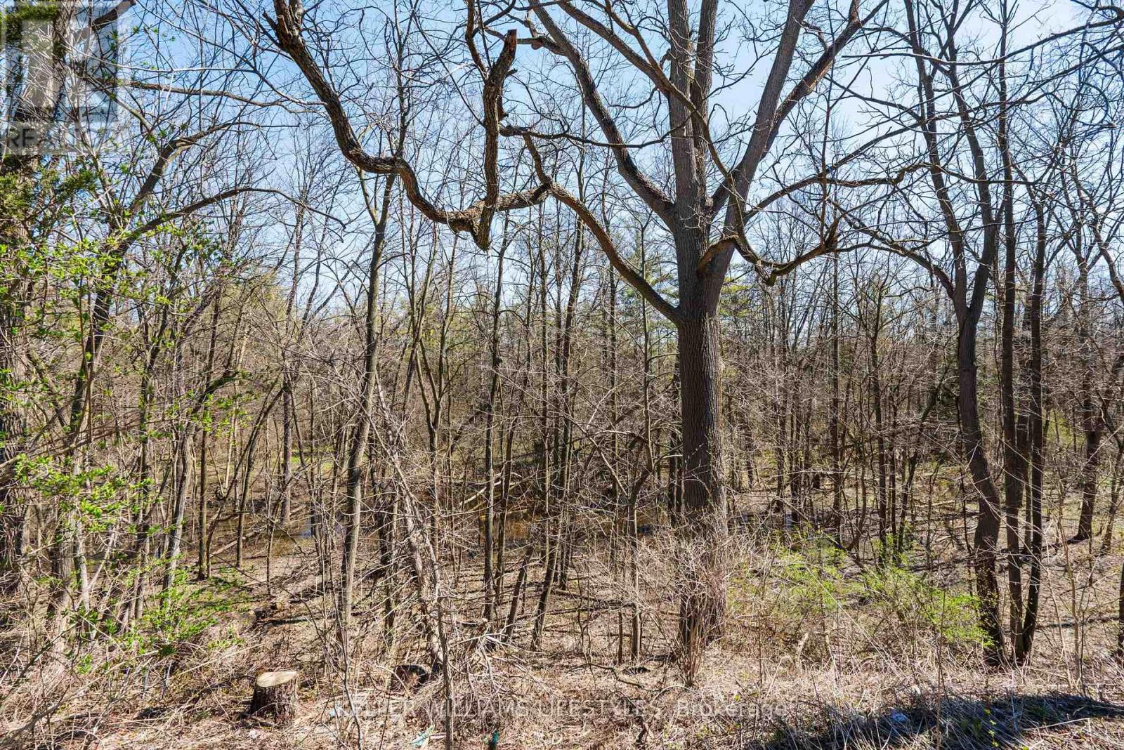 1330 Sprucedale Avenue, London North, Ontario  N5X 2N8 - Photo 47 - X12506230