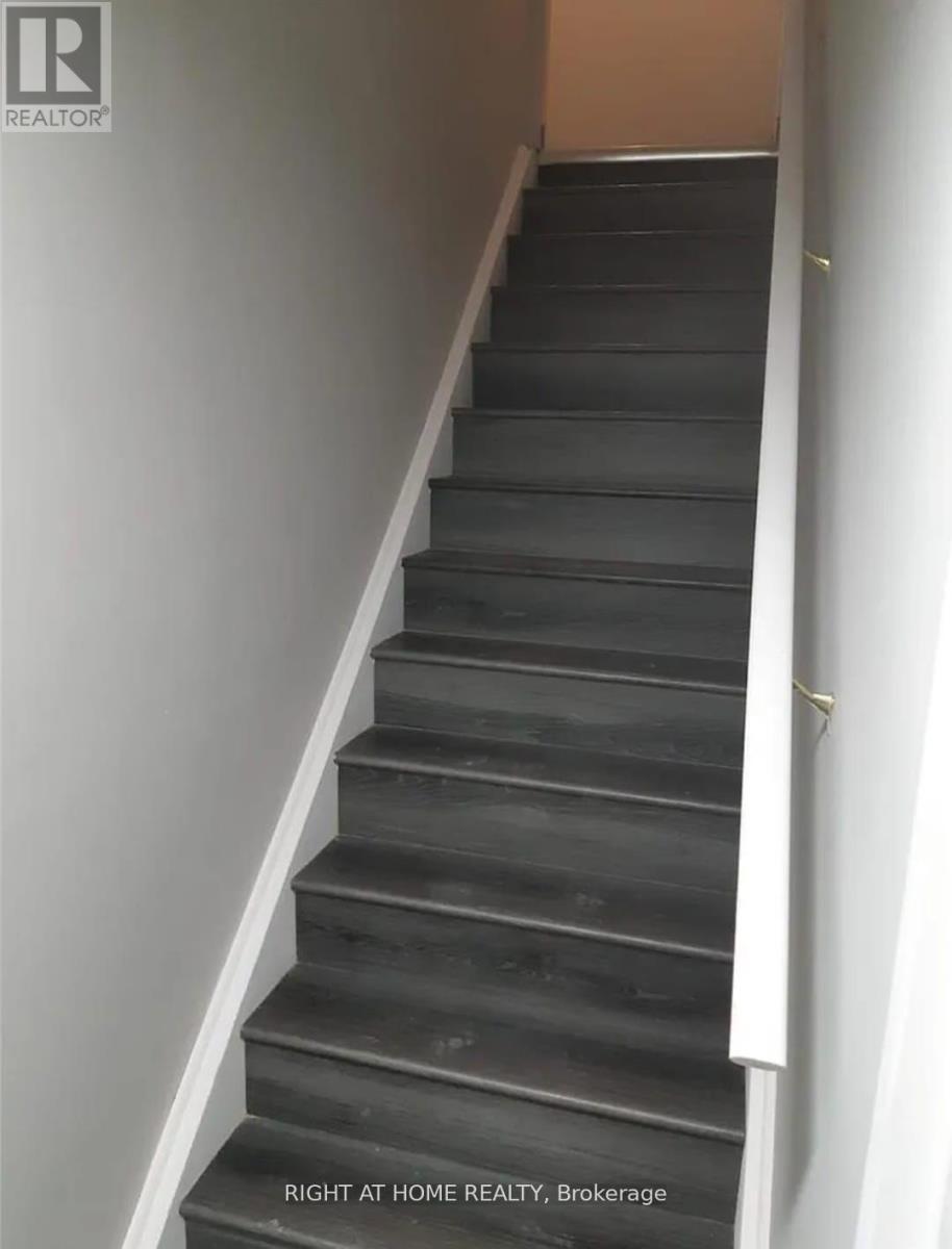 Bsmt - 868 Wrenwood Drive, Oshawa, Ontario  L1K 0V8 - Photo 11 - E12506160