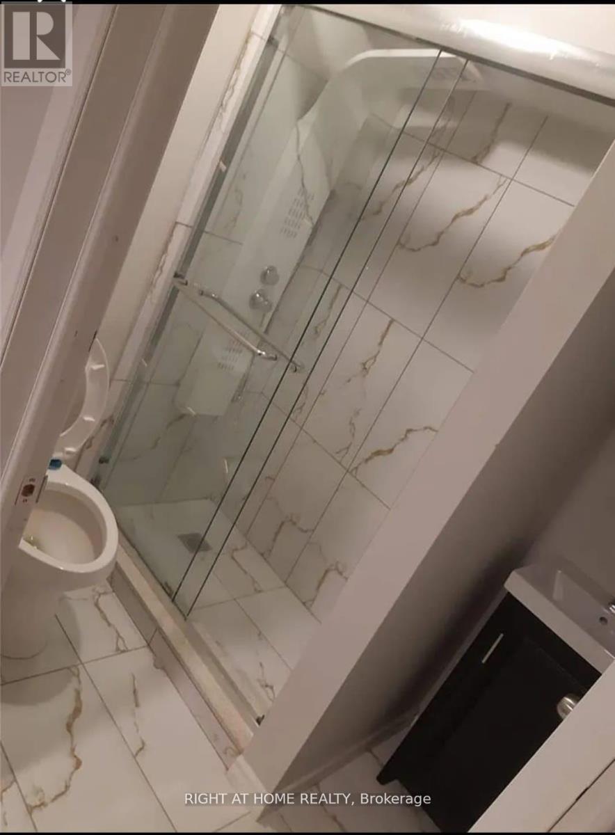 Bsmt - 868 Wrenwood Drive, Oshawa, Ontario  L1K 0V8 - Photo 6 - E12506160