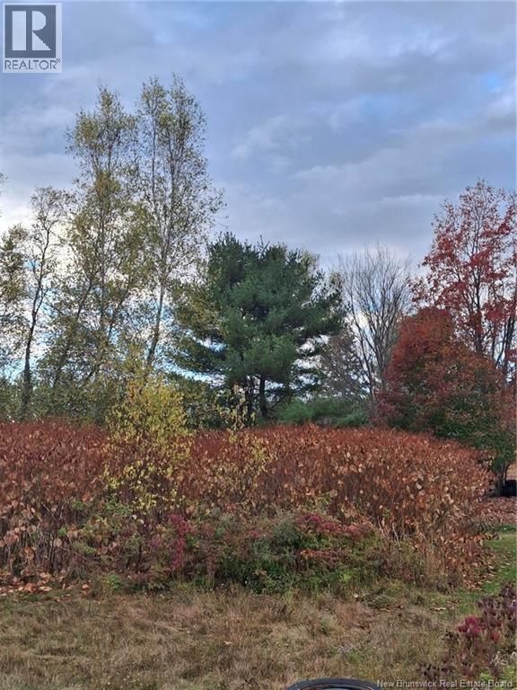 379 Lower Durham, Durham Bridge, New Brunswick  E6C 1G4 - Photo 16 - NB129584