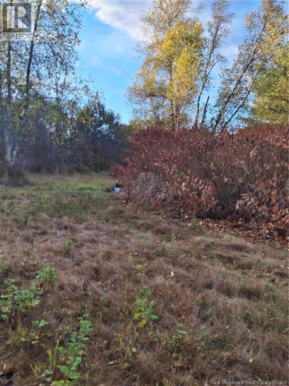 379 Lower Durham, Durham Bridge, New Brunswick  E6C 1G4 - Photo 17 - NB129584