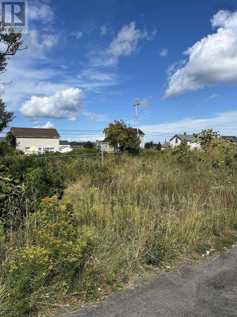 Lot 2018-1 West Street, Donkin, Nova Scotia  B1A 6T7 - Photo 3 - 202522156