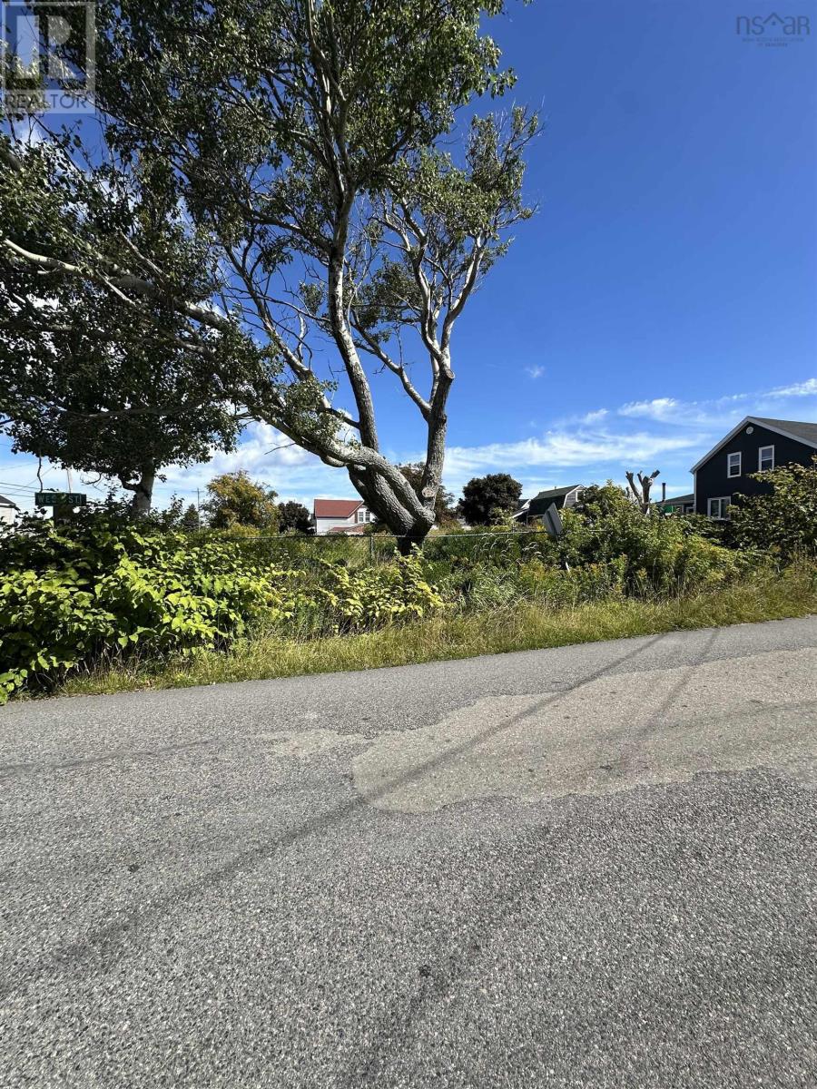Lot 2018-1 West Street, Donkin, Nova Scotia  B1A 6T7 - Photo 2 - 202522156