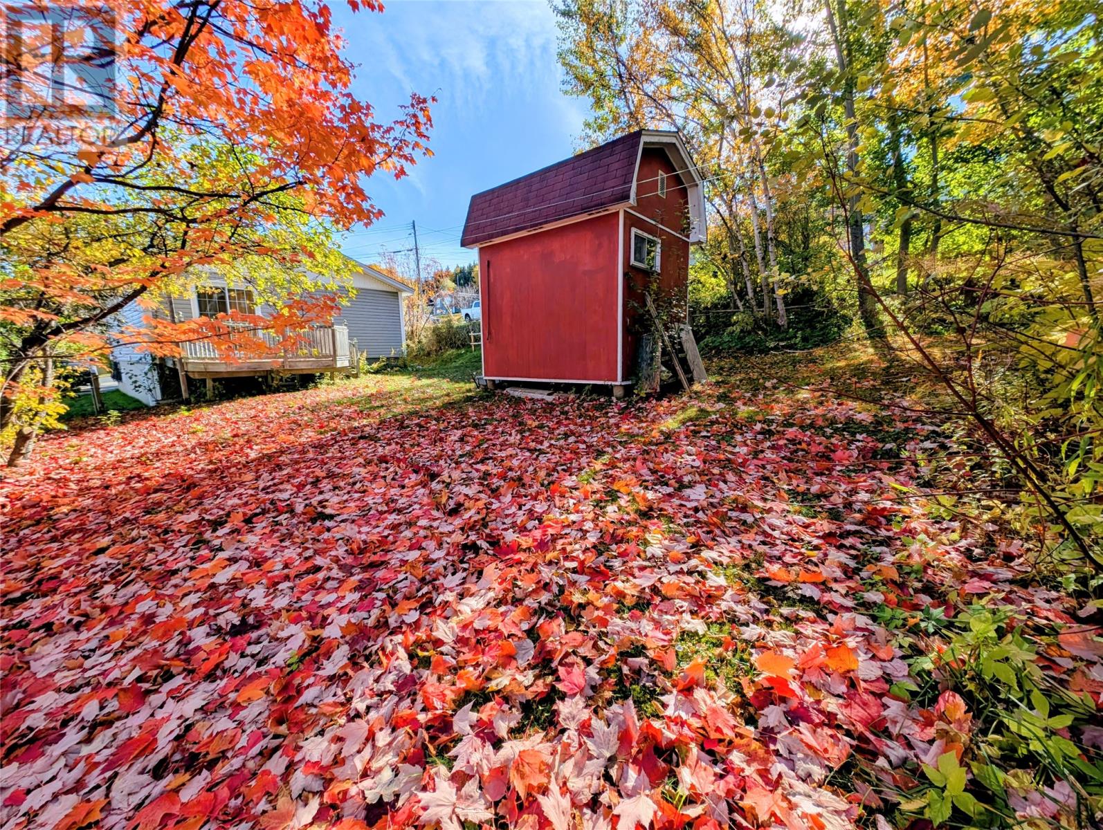 24 Second Avenue, Corner Brook, Newfoundland & Labrador  A2H 2J4 - Photo 18 - 1291956