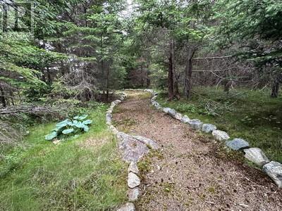 99 Church Road, Victoria, Newfoundland & Labrador  A0A 4G0 - Photo 15 - 1292281