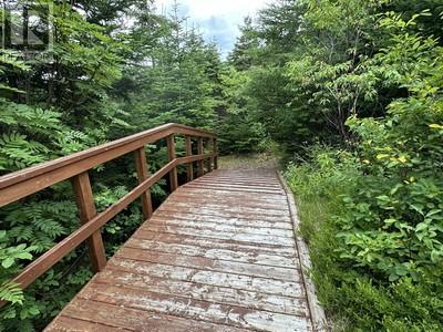 99 Church Road, Victoria, Newfoundland & Labrador  A0A 4G0 - Photo 16 - 1292281