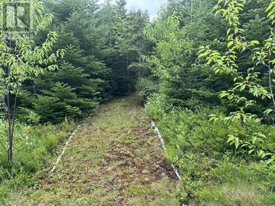 99 Church Road, Victoria, Newfoundland & Labrador  A0A 4G0 - Photo 17 - 1292281