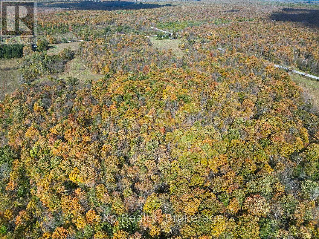 179422 Grey Road 17, Georgian Bluffs, Ontario N0H 2T0 - Photo 27 - X12506448