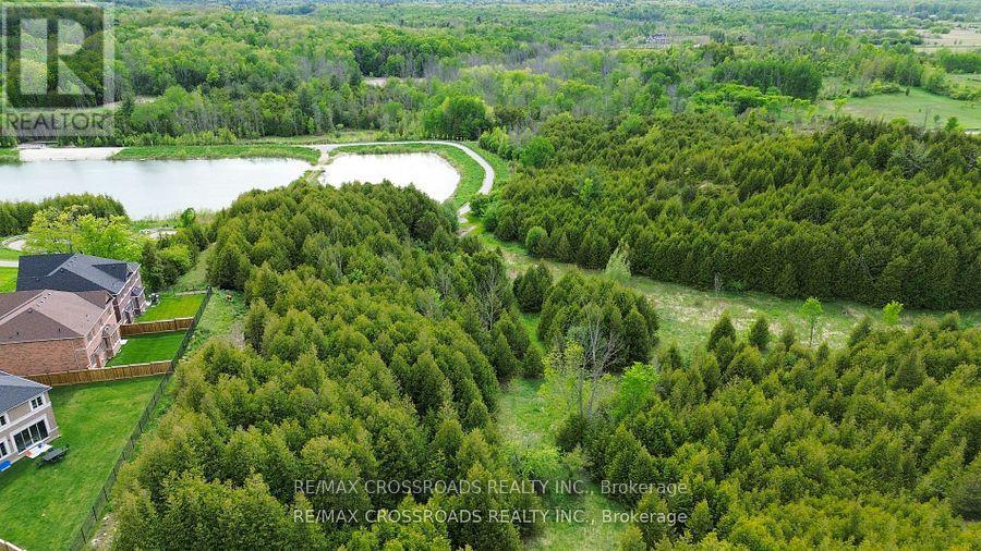 50 Carriage Shop Bend, East Gwillimbury, Ontario  L9N 0Y5 - Photo 29 - N12506440