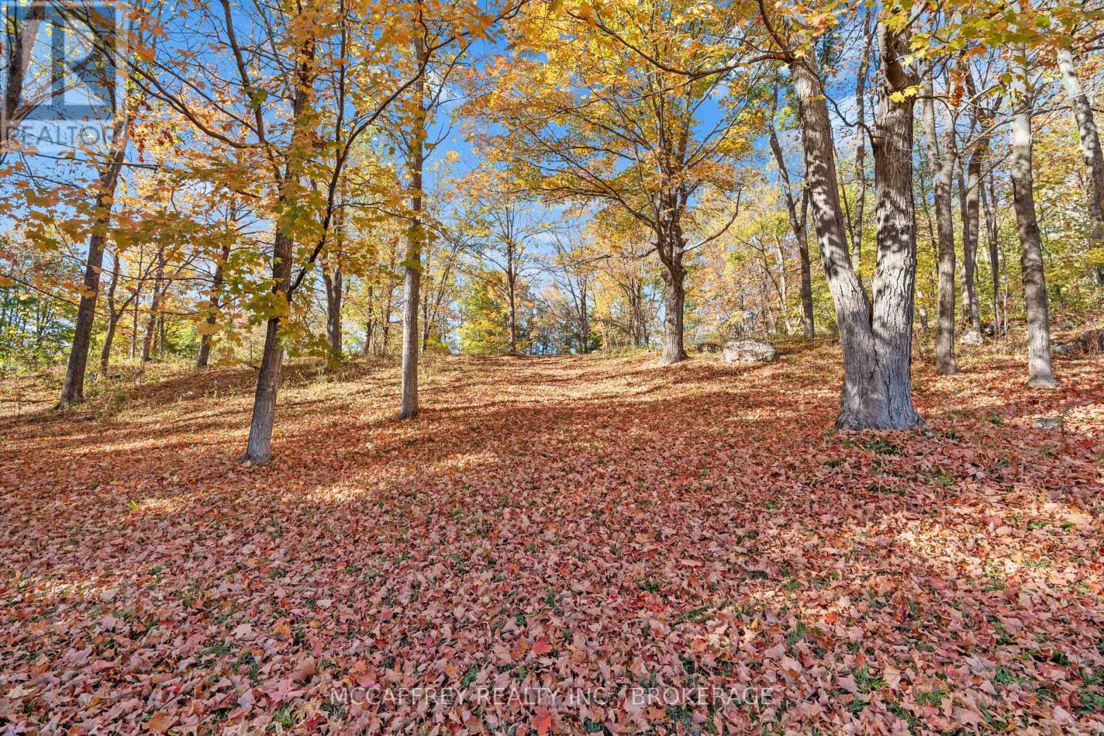 51 Luffman Road, Tweed, Ontario K0K 2L0 - Photo 47 - X12506456