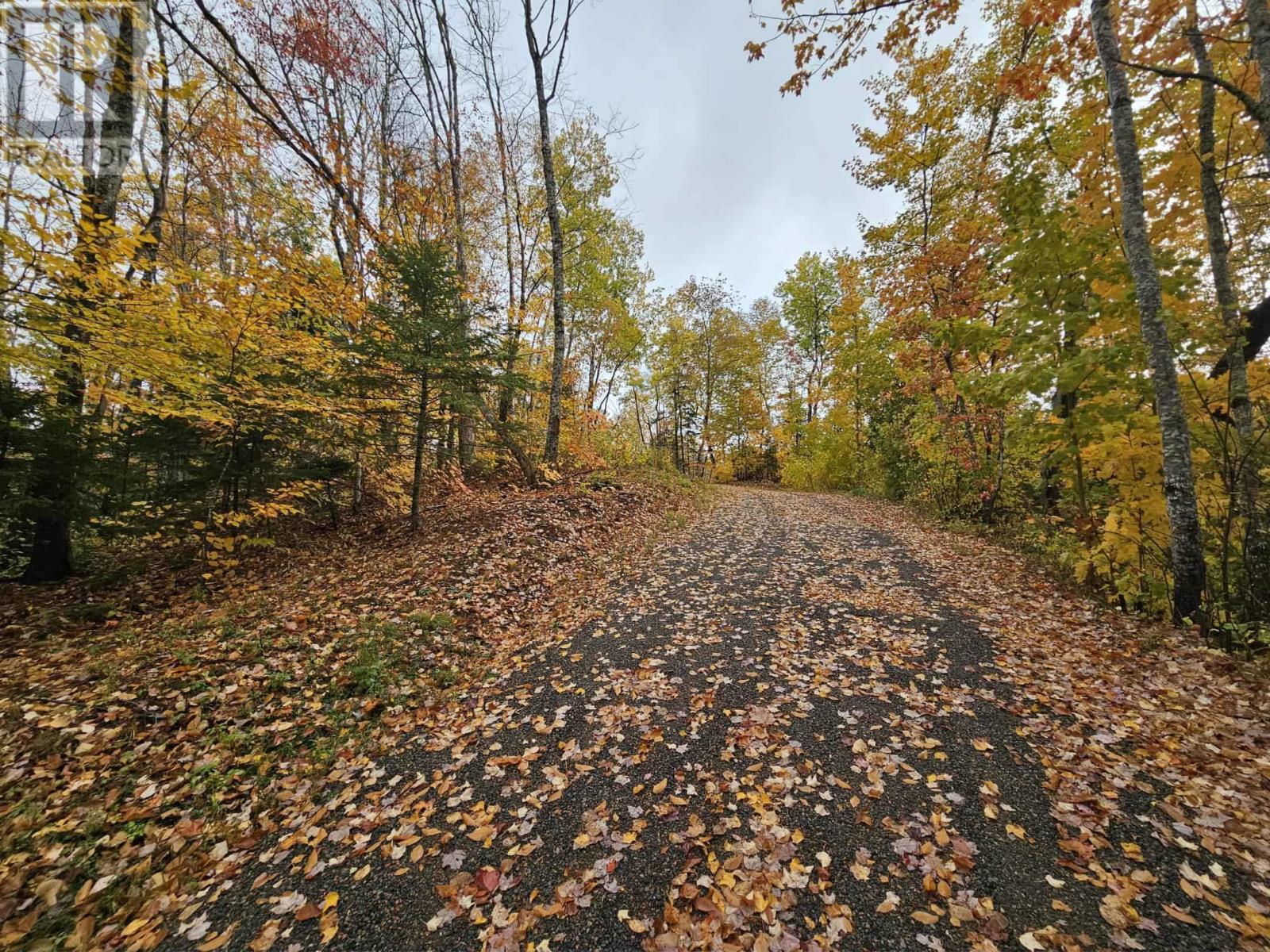 1127 Lake Road, Mattatall Lake, Nova Scotia  B0M 1Z0 - Photo 8 - 202526200