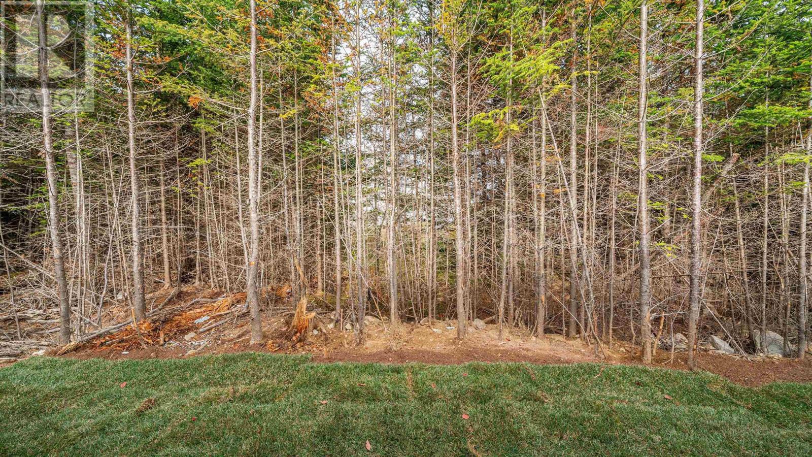 946 West Petpeswick Road, West Petpeswick, Nova Scotia  B0J 2L0 - Photo 44 - 202526247