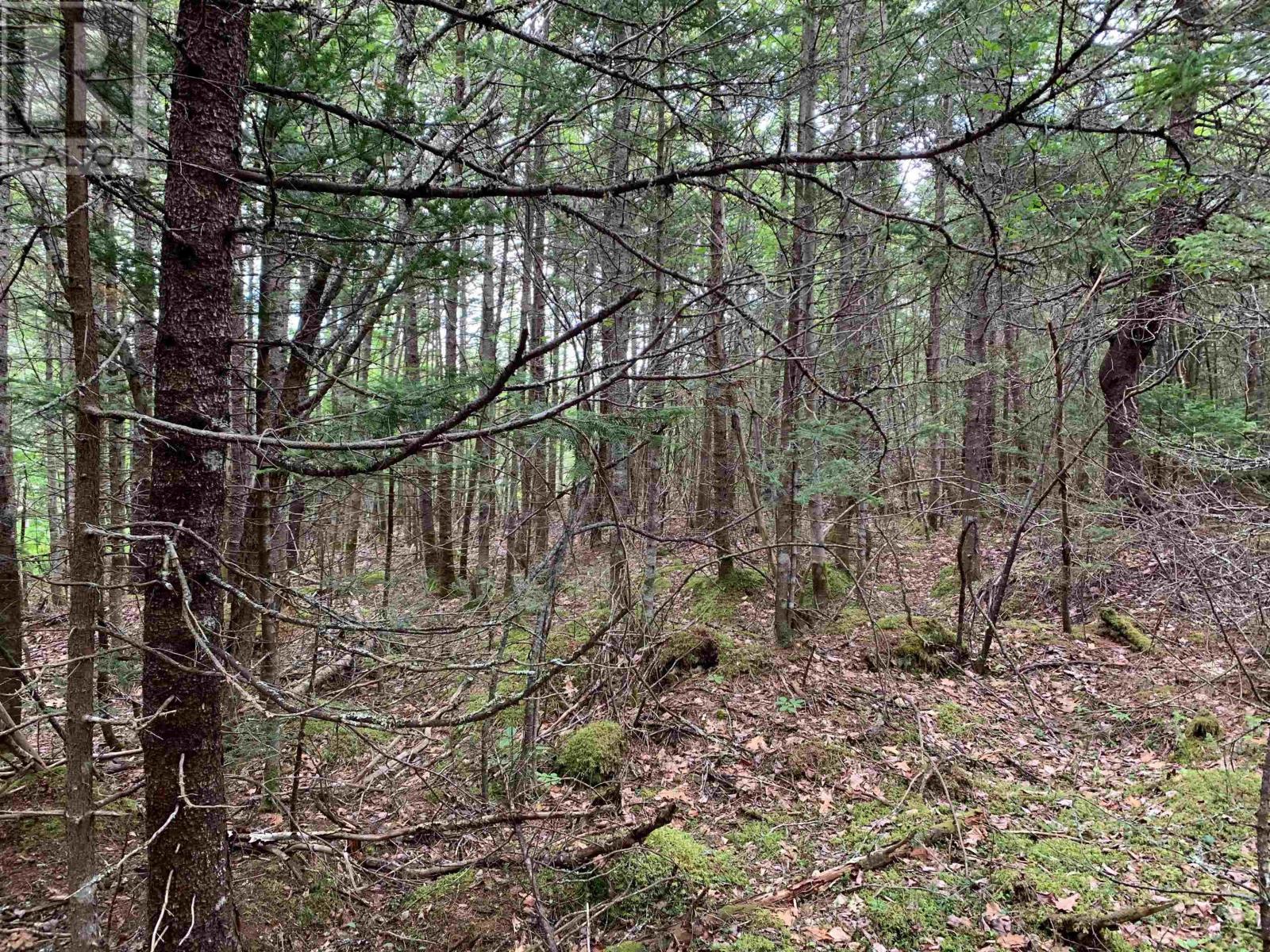 34 Balsam Street, Beechville, Nova Scotia  B3T 1A2 - Photo 3 - 202525395