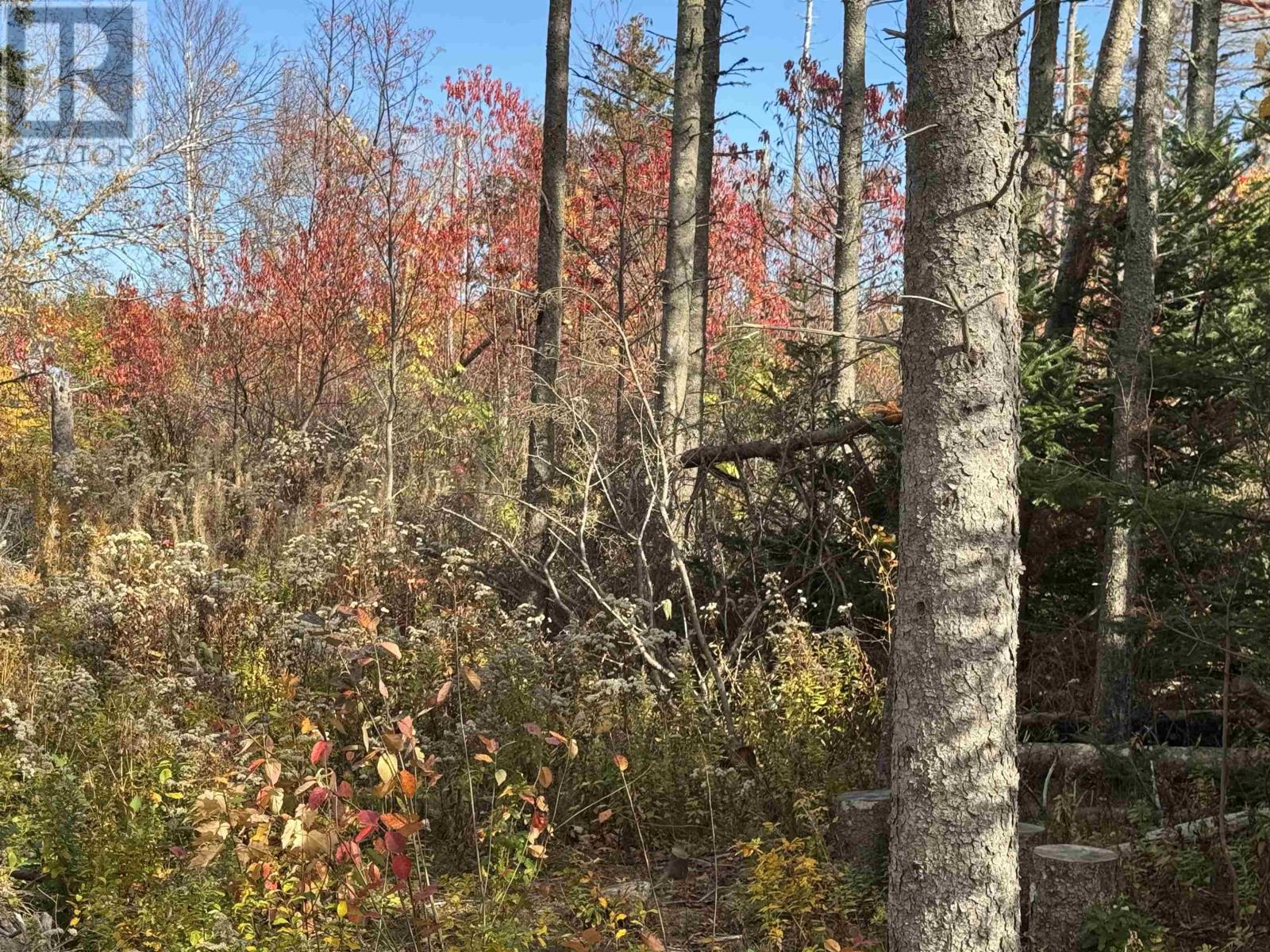 Lot Willow Lane, Priest Pond, Prince Edward Island  C0A 2B0 - Photo 2 - 202527231