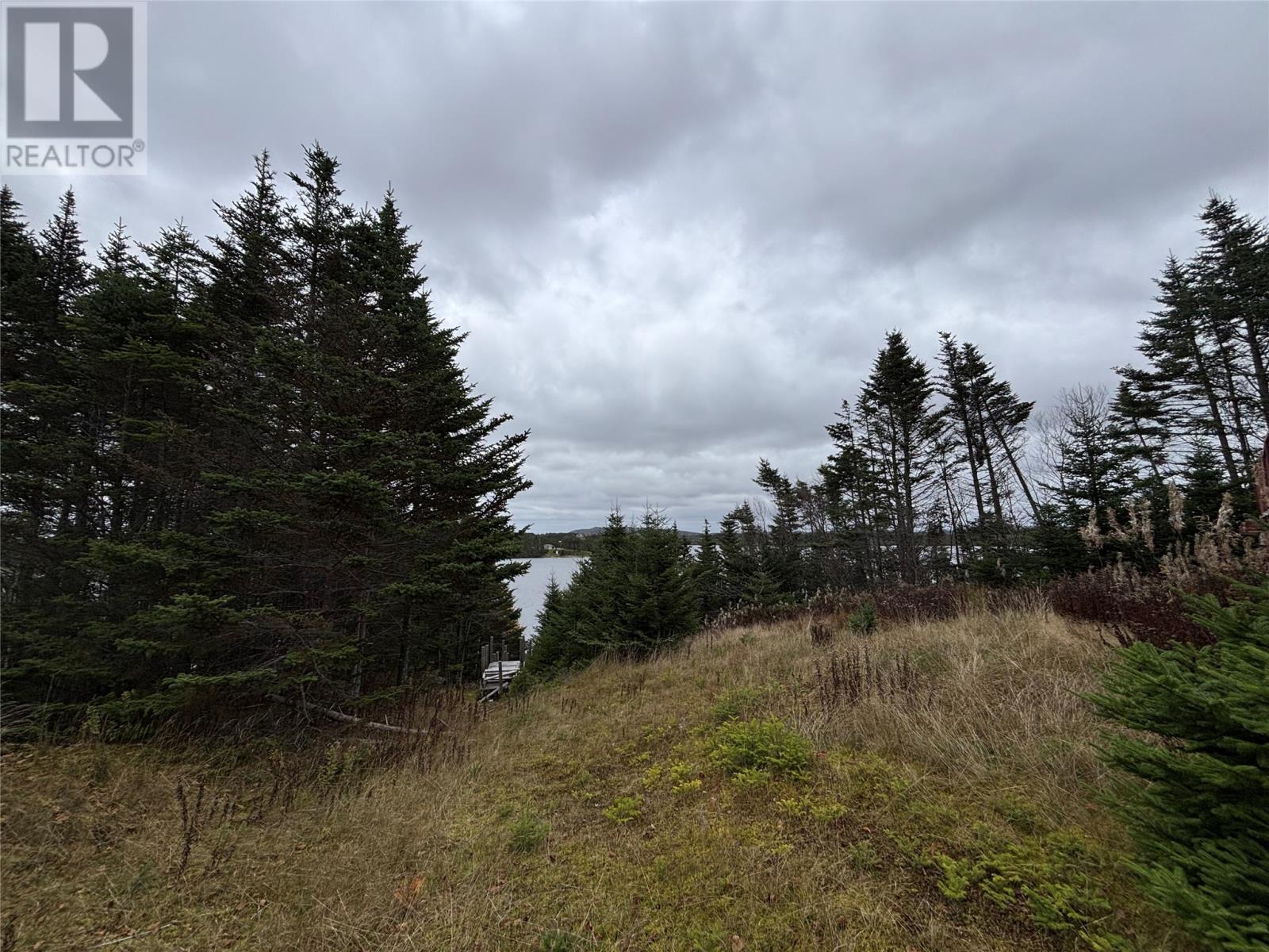 14 Antle’s Hill, Brigus Junction, Newfoundland & Labrador  A0B 1G0 - Photo 7 - 1292280