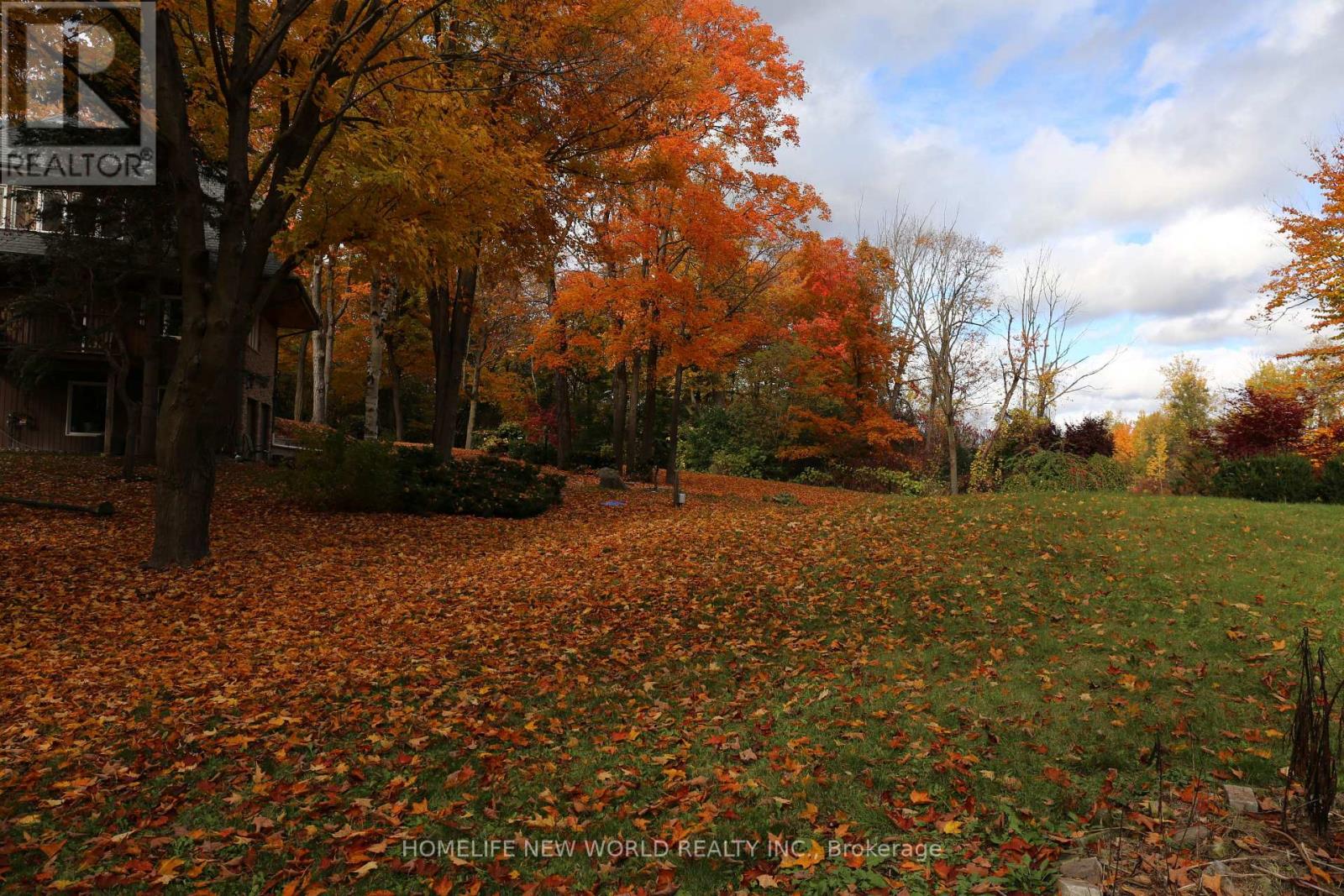 13867 Woodbine Avenue, Whitchurch-Stouffville, Ontario  L0H 1G0 - Photo 23 - N12498400