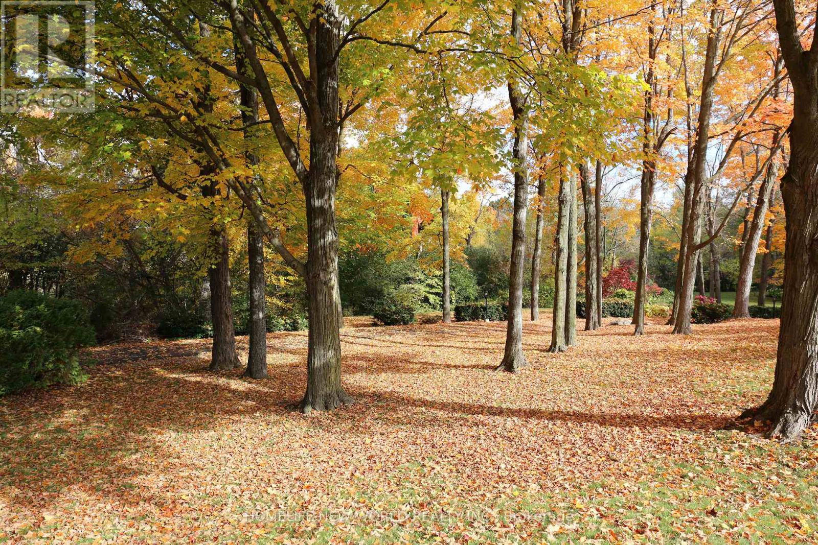 13867 Woodbine Avenue, Whitchurch-Stouffville, Ontario  L0H 1G0 - Photo 29 - N12498400