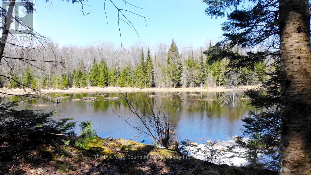 1025 520n Highway, Whitestone, Ontario  P0A 1G0 - Photo 13 - X12506642