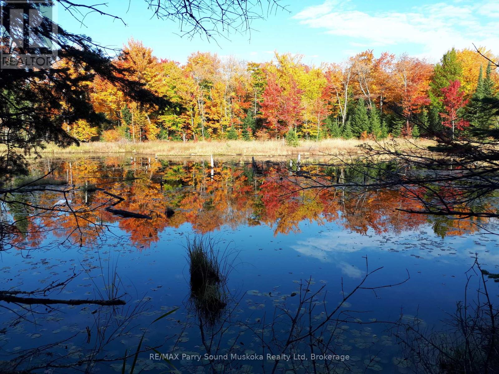 1025 520n Highway, Whitestone, Ontario  P0A 1G0 - Photo 5 - X12506642