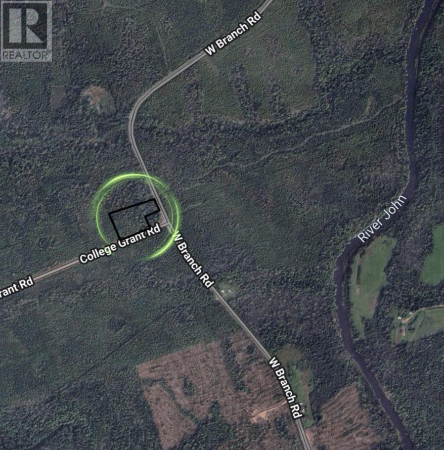 967 College Grant Road, East Branch, Nova Scotia  B0K 1R0 - Photo 2 - 202524822