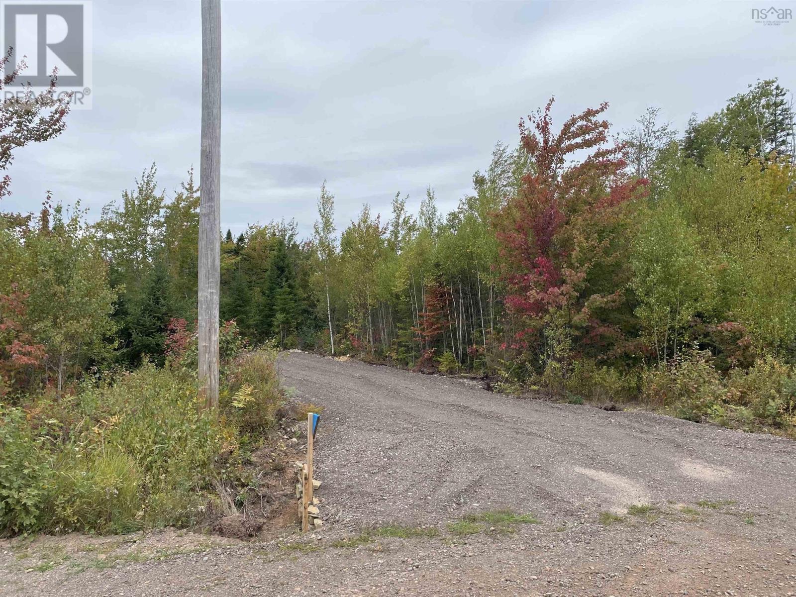 967 College Grant Road, East Branch, Nova Scotia  B0K 1R0 - Photo 1 - 202524822